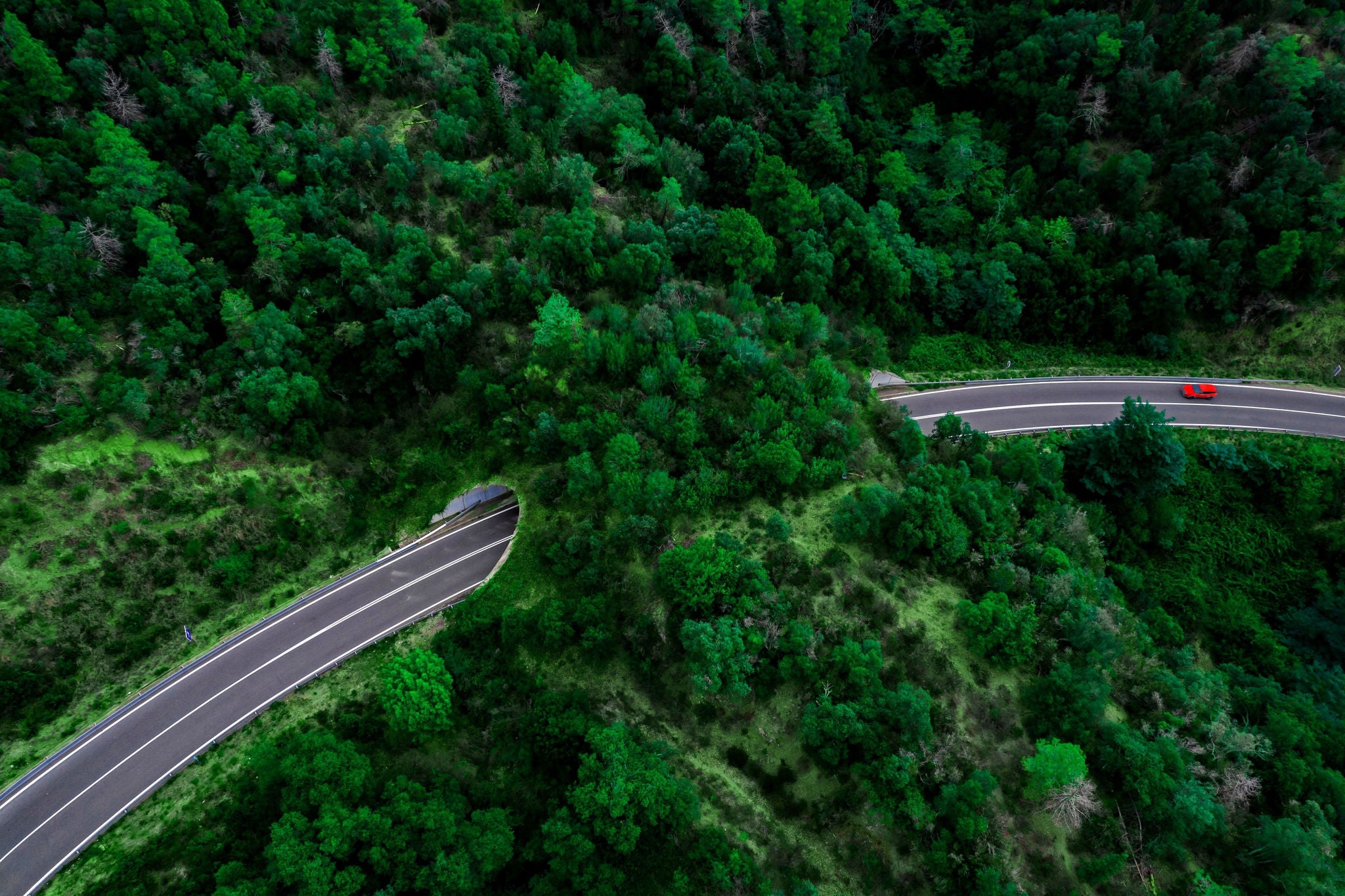 Aerial view of green bridge corridor for wildlife to cross highway safely.