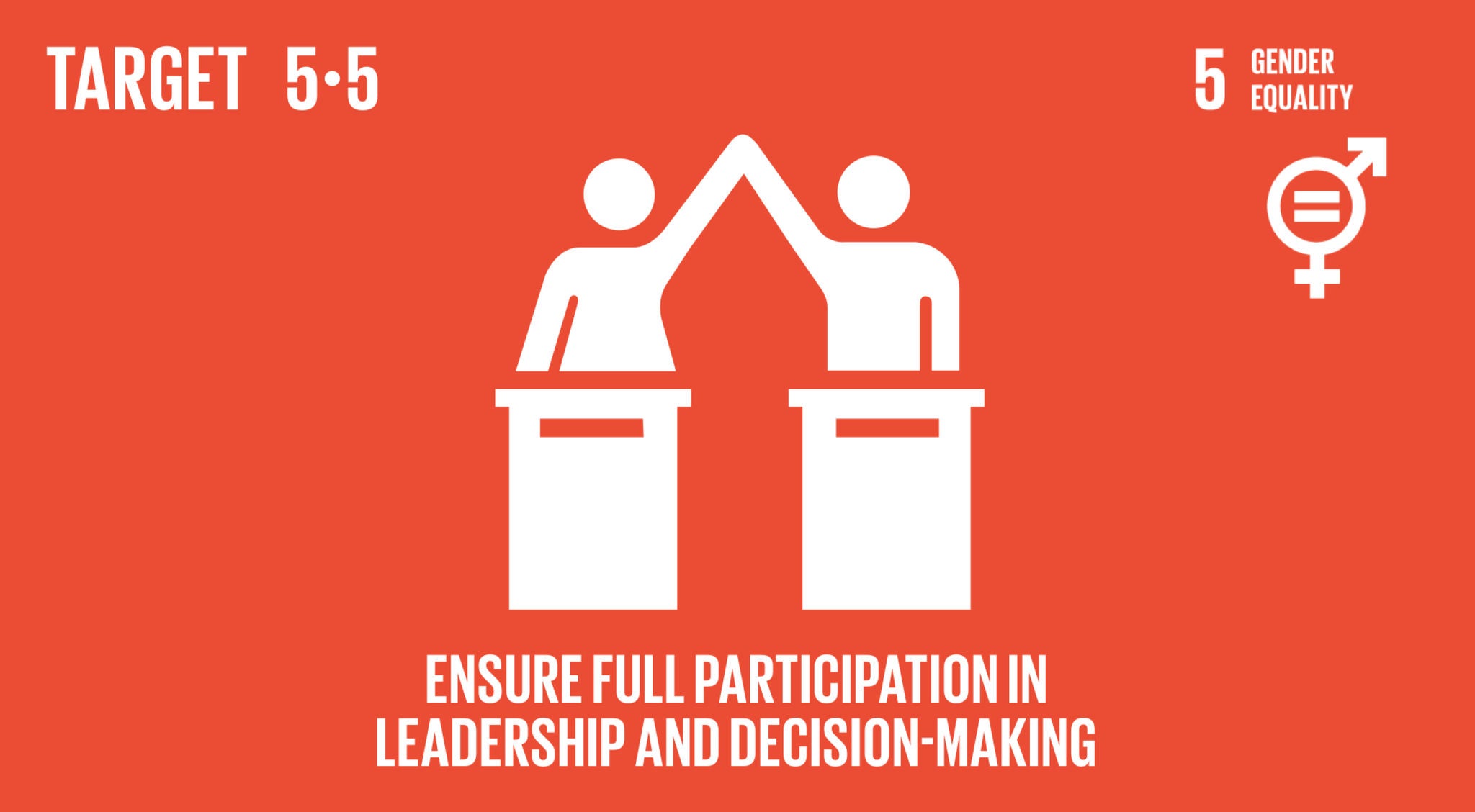 Icon - target 5.5 - ensure full participation in leadership and decision making