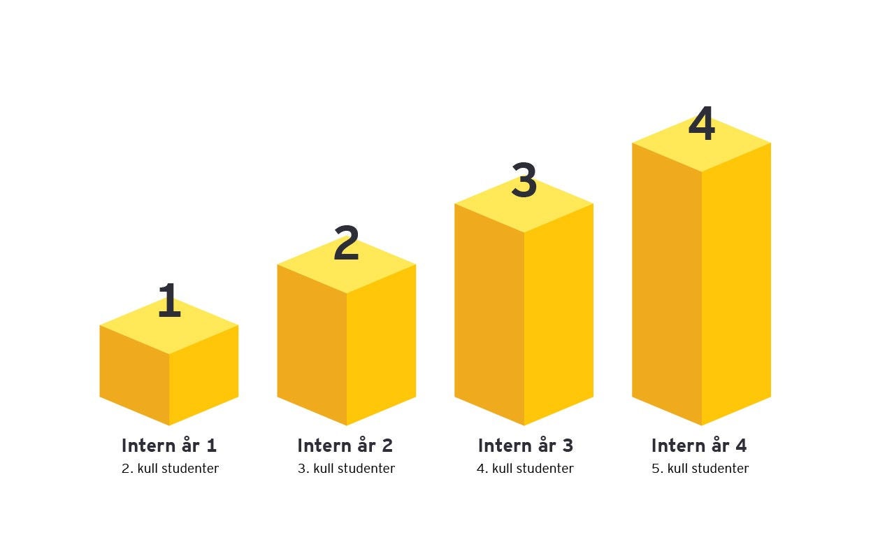 En karrierestige som visualiserer de ulike trinnene for et internship i EY.