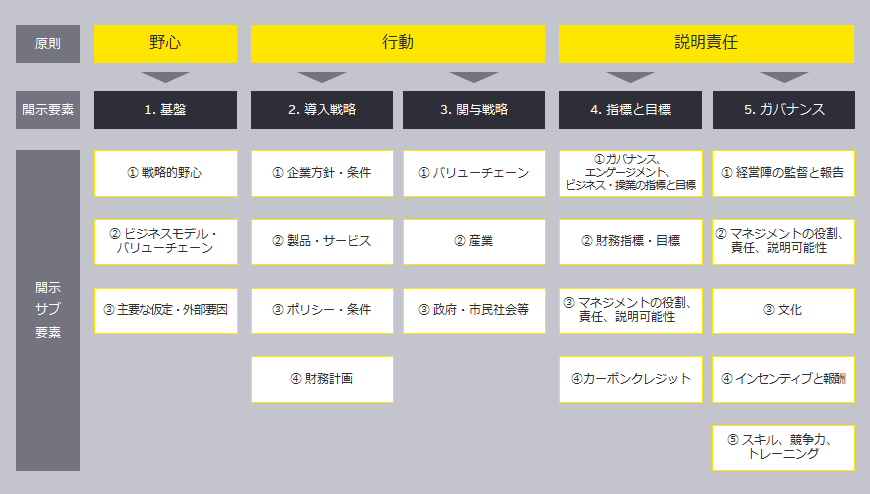 図1　 TPT開示フレーム