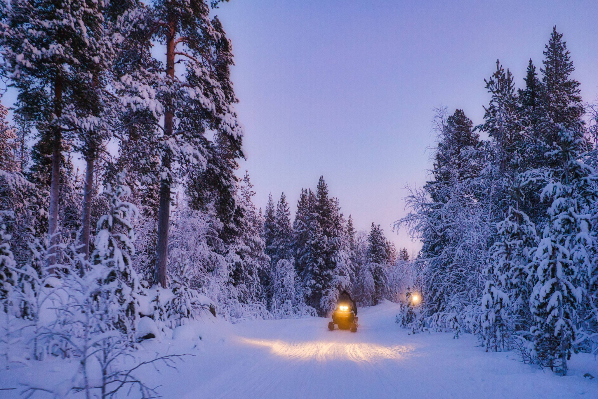 Zur blauen Stunde fÃ¤hrt ein Schneemobil durch den Schnee. Verschneite Landschaft mit NadelbÃ¤umen.