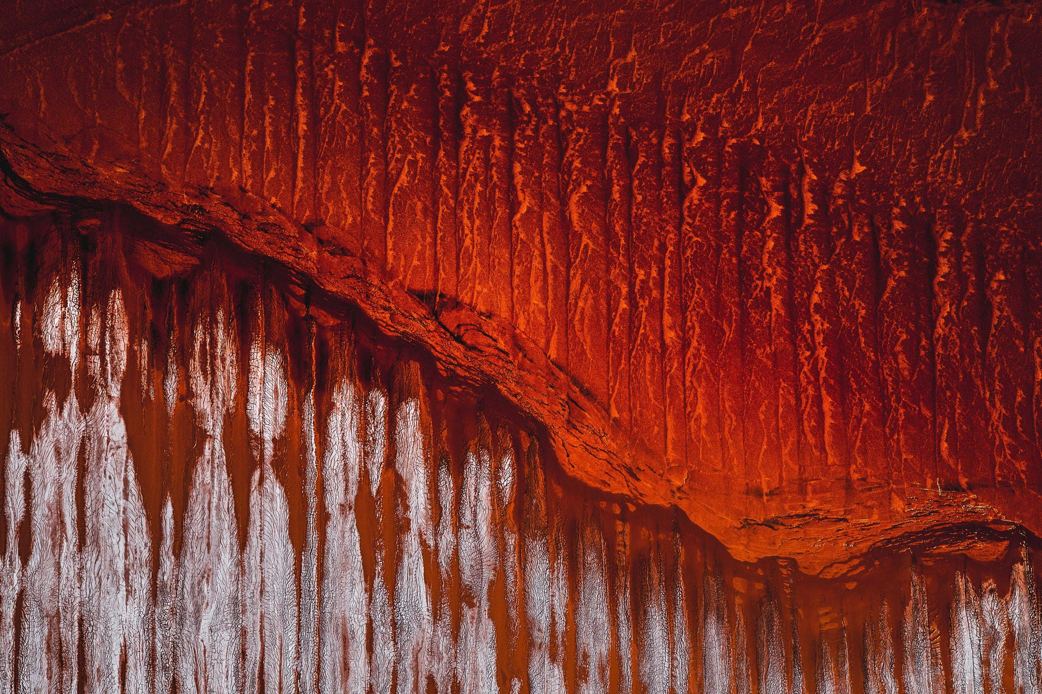 A close-up photograph of a red rock surface