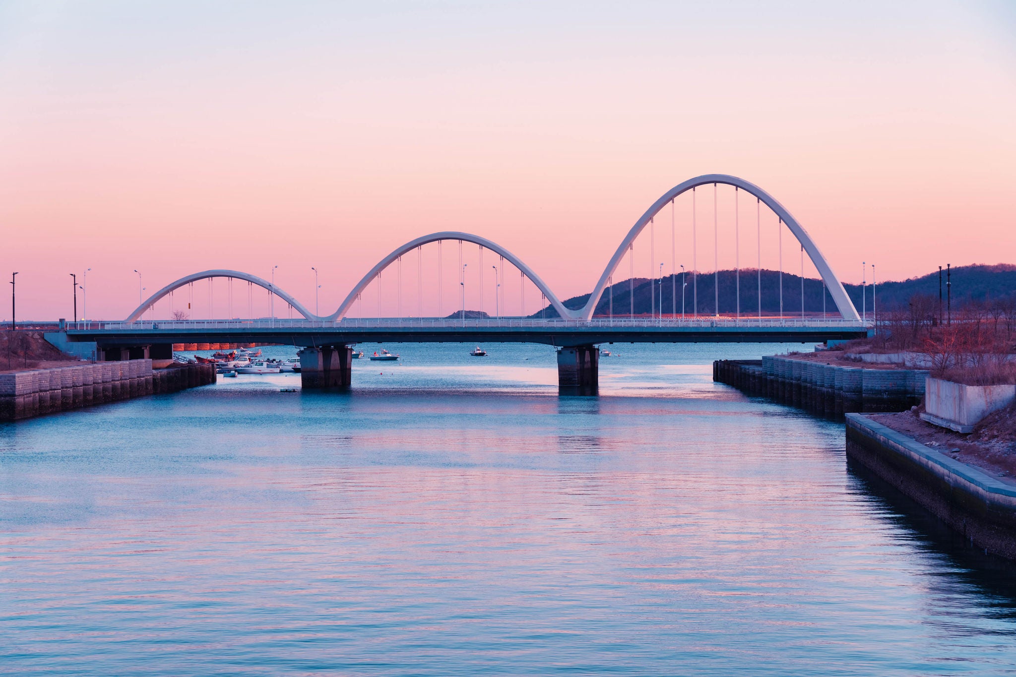 modern bridge and river