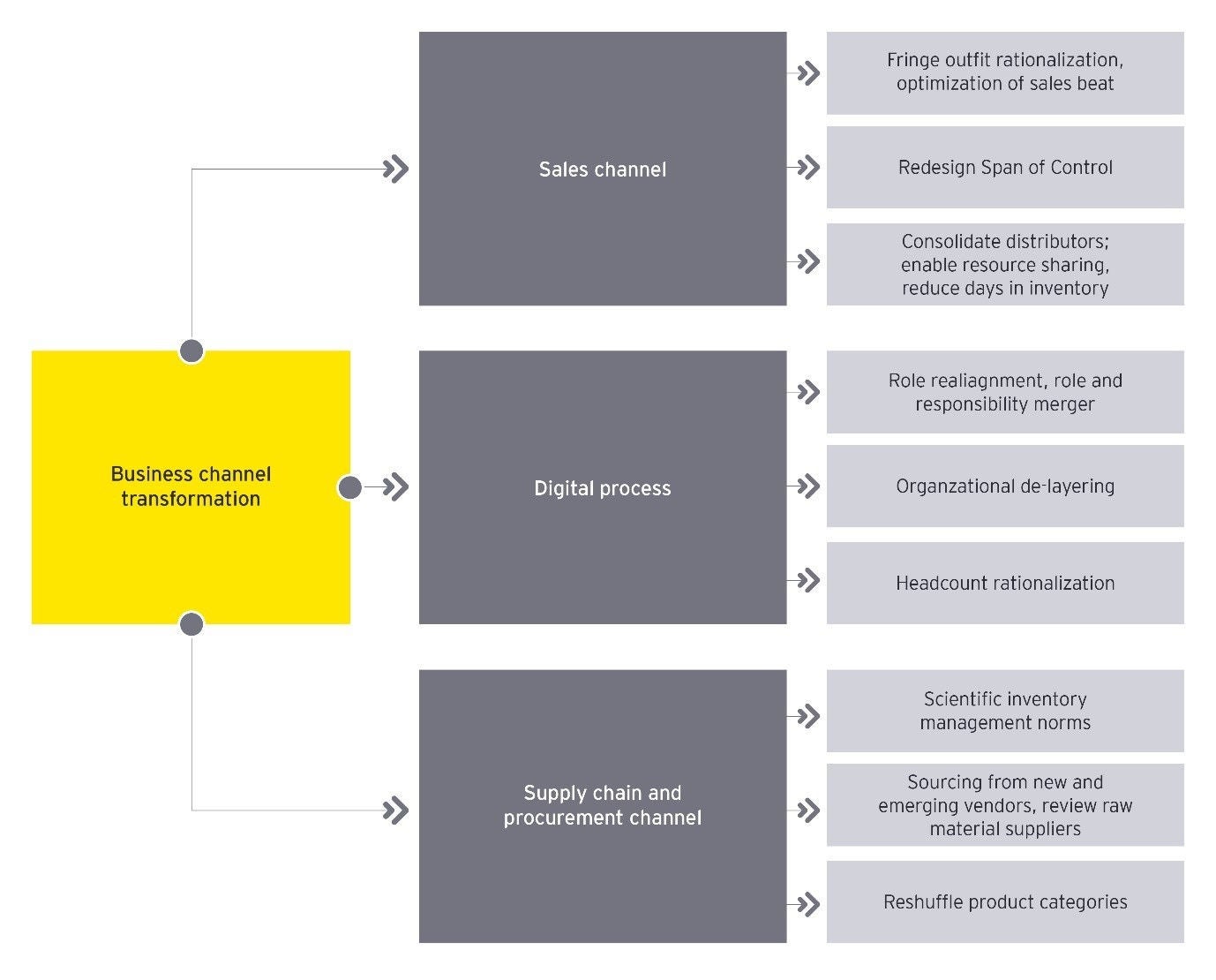 Transformation plan for an Indian CPG company