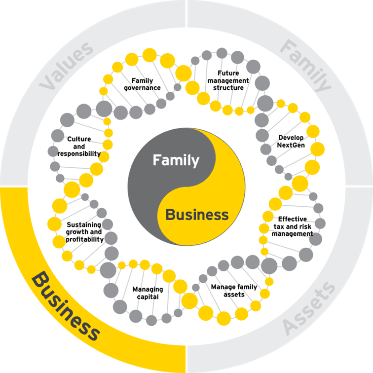 Family business growth dna growth