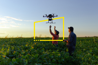 Farmers use a drone to check their crop in a field