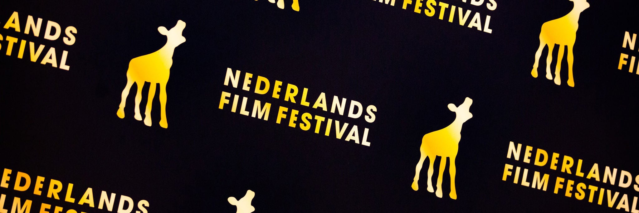 Nederlands Film Festival