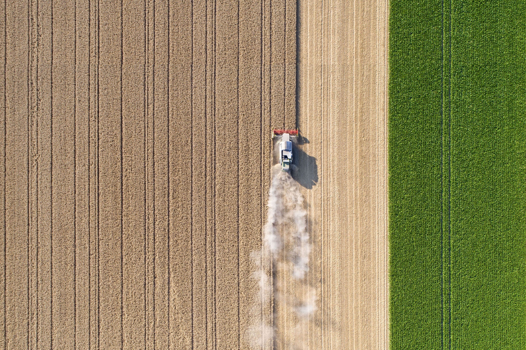 Harvesting a wheat field, dust clouds - aerial view