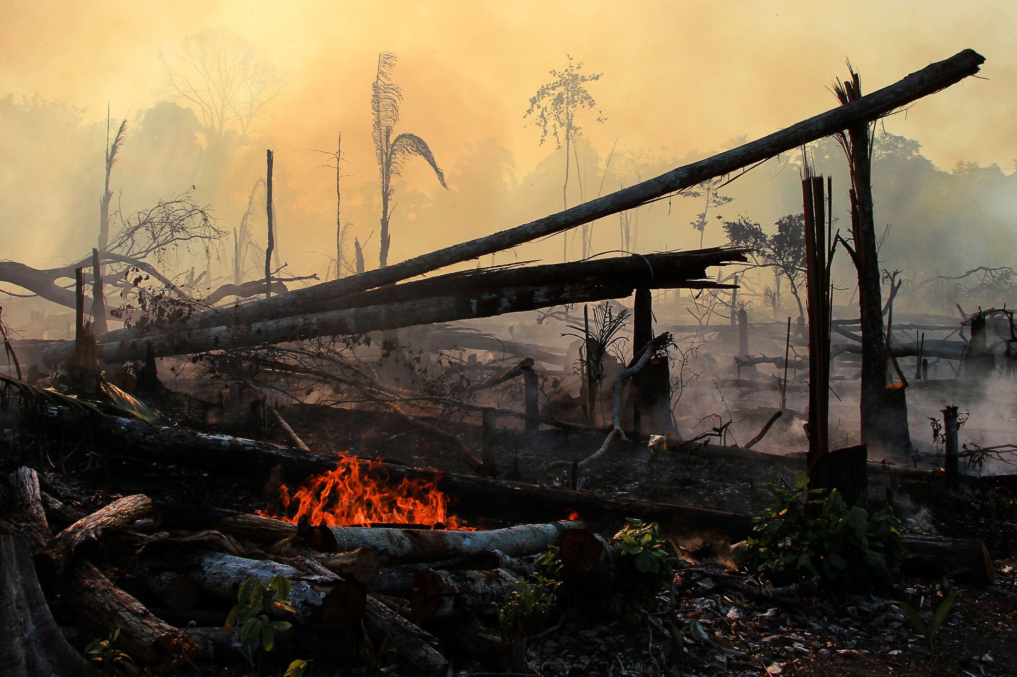 Waldbrand