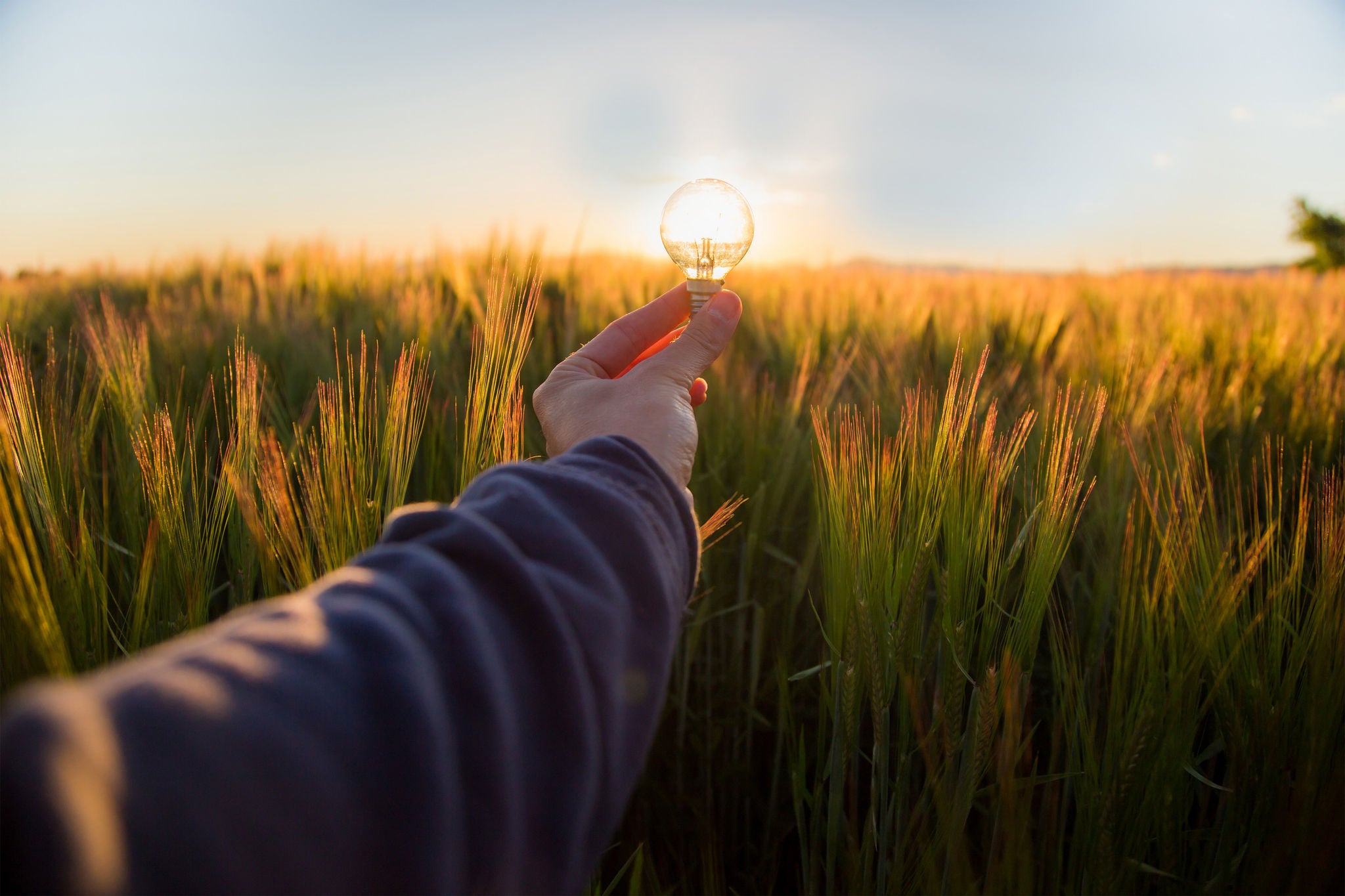 Man holding a bulb