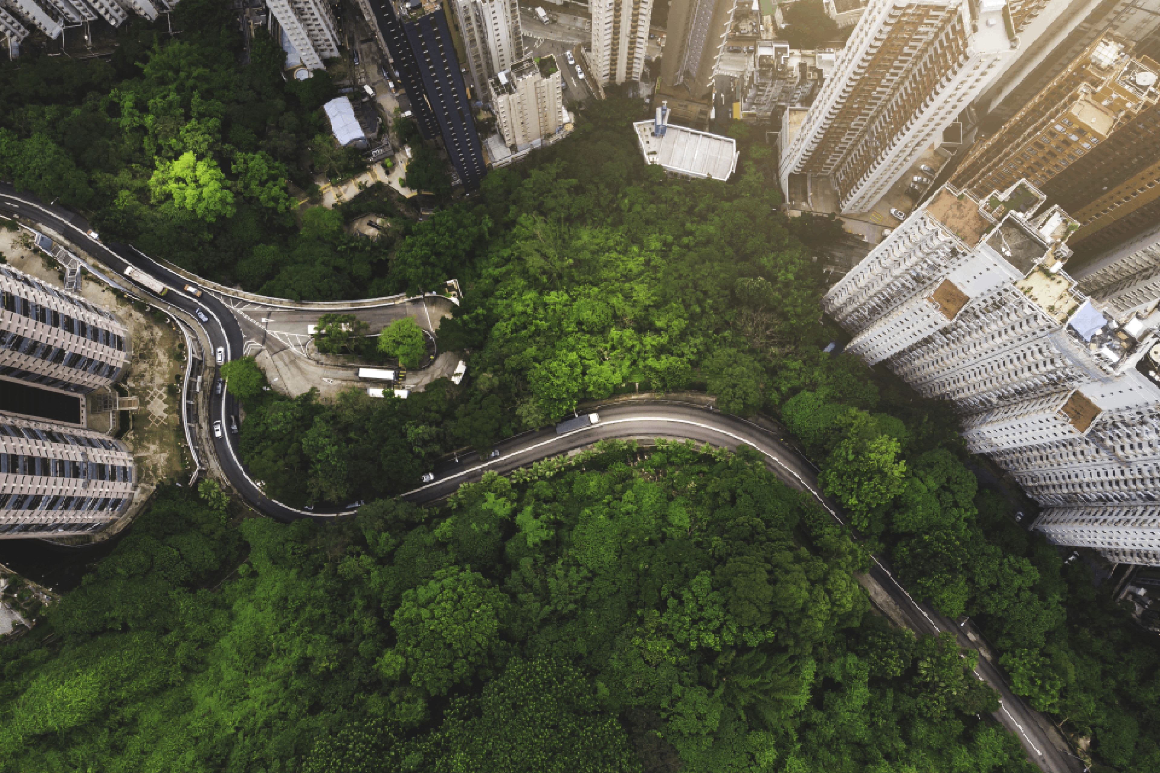 Aerial view of curve road in forest against buildings