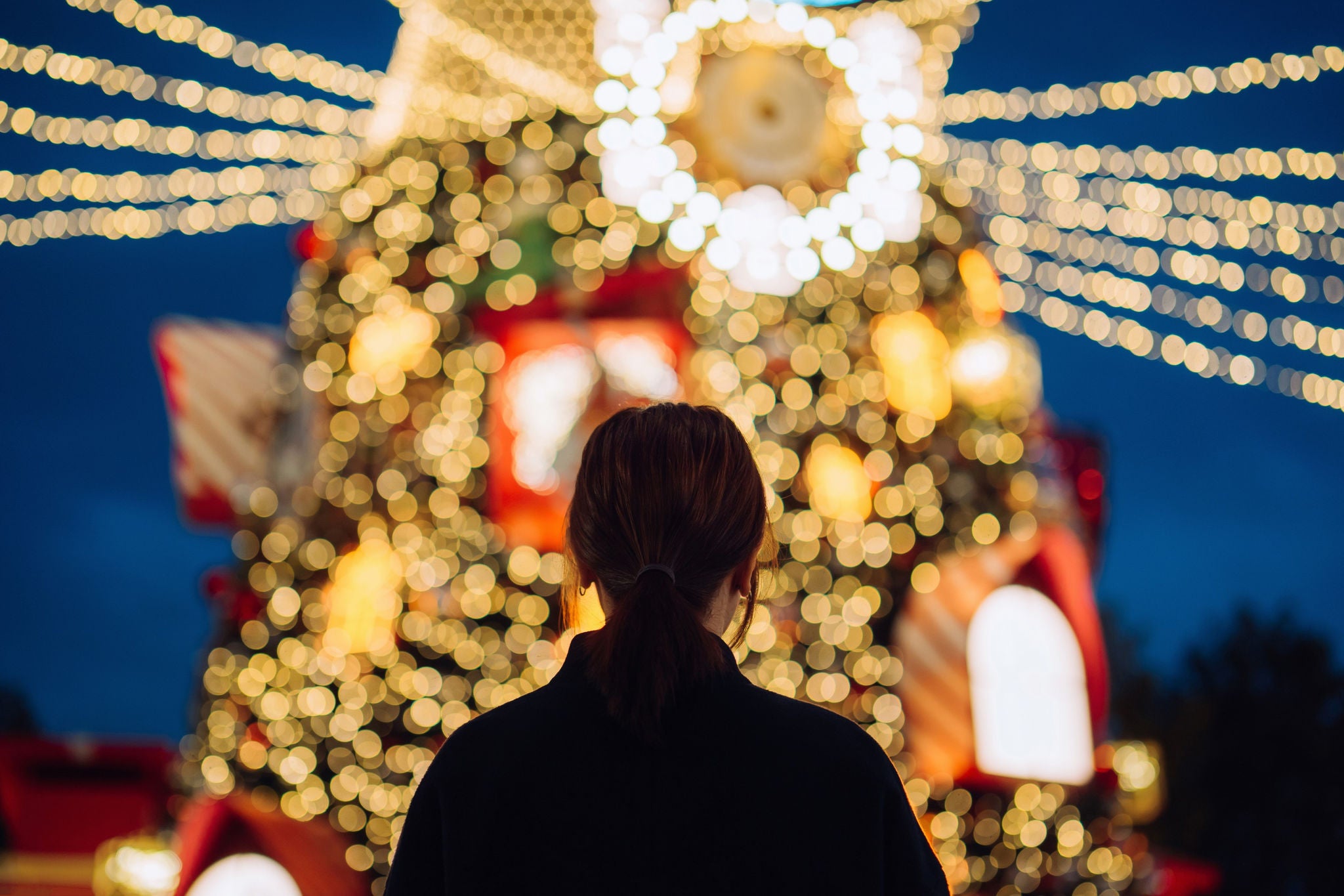  Rear view of young Asian woman looking at an illuminated Christmas tree