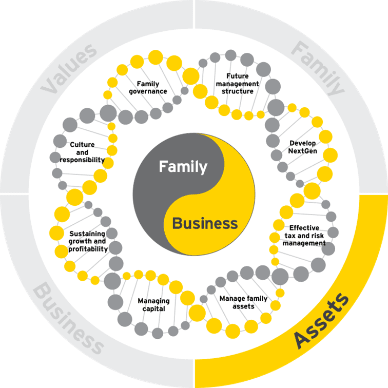 Family business growth dna assets