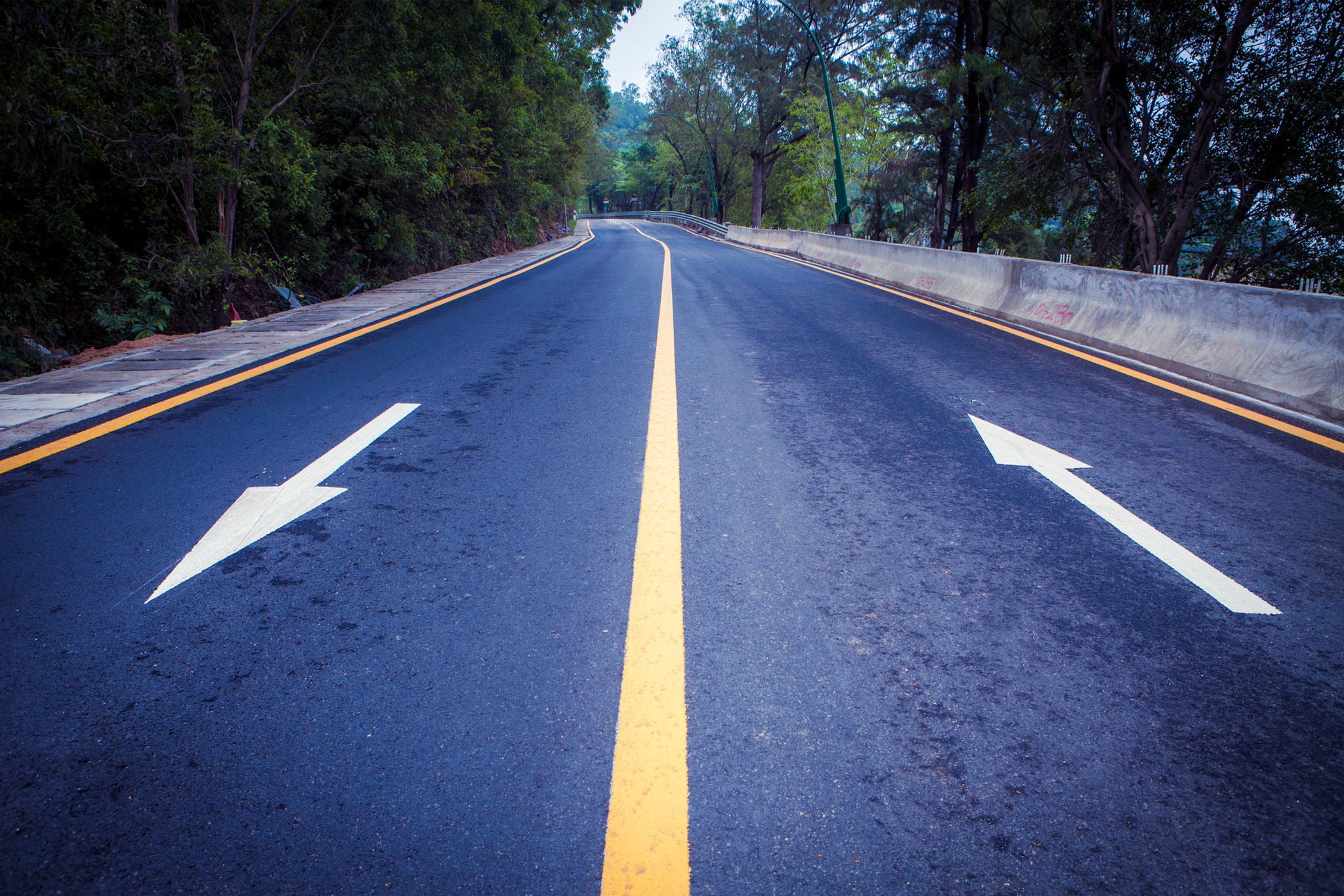 road through forest