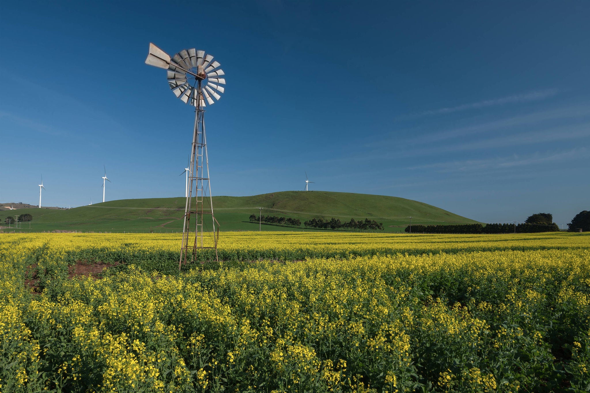 Windmill