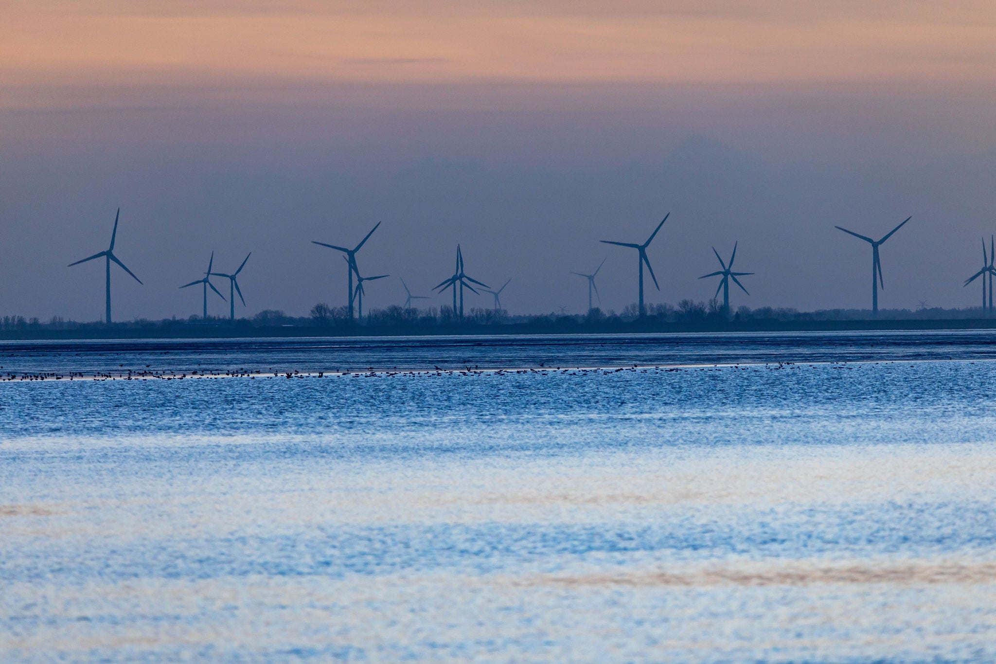 Windpark an Nordseeküste