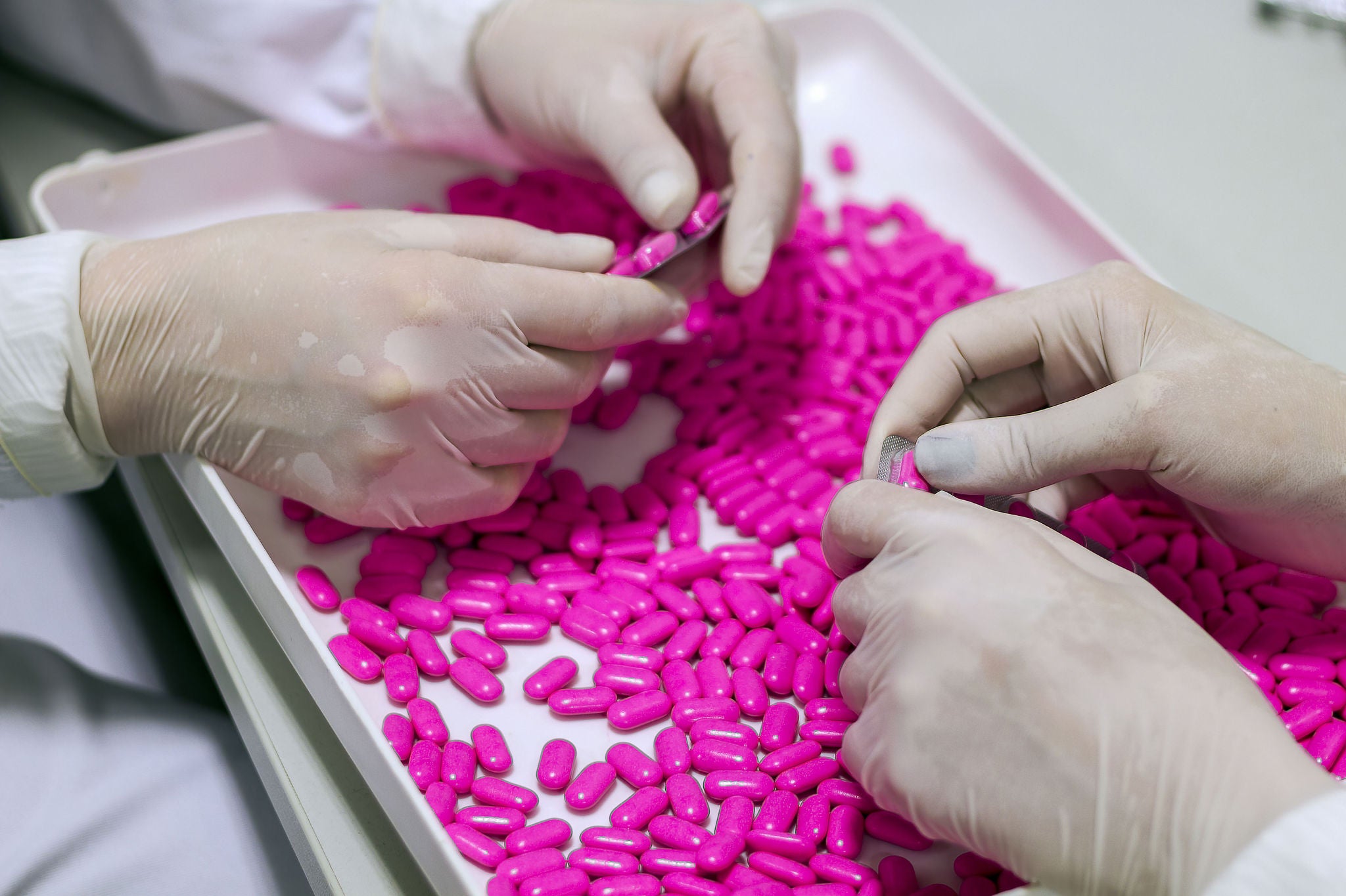 Quality Control Workers Examining Pills in Lab.