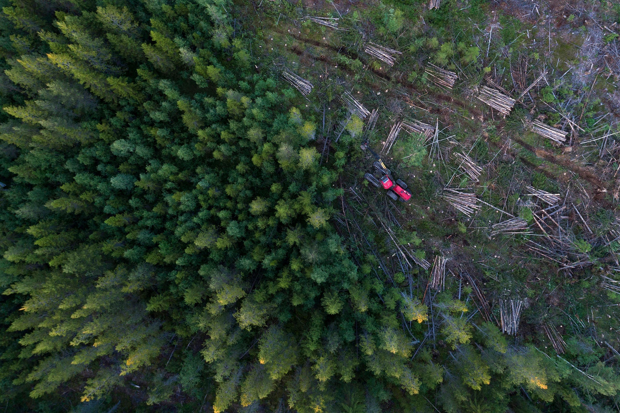 Aerial view logging forest Sweden