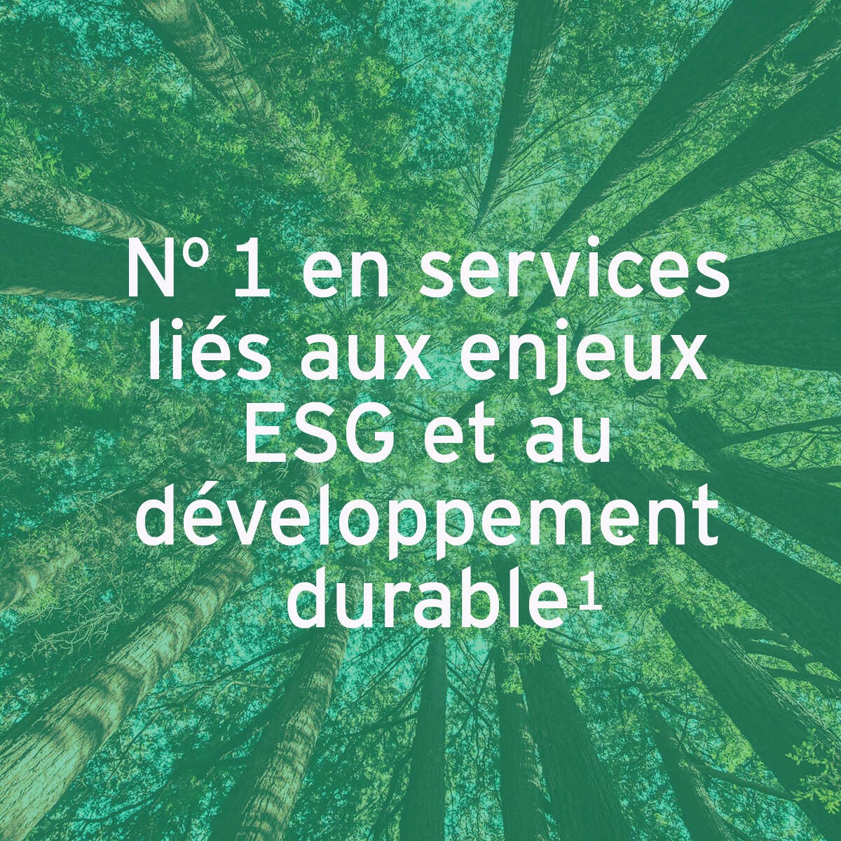 EY – No 1 en services liés aux enjeux ESG et au développement durable