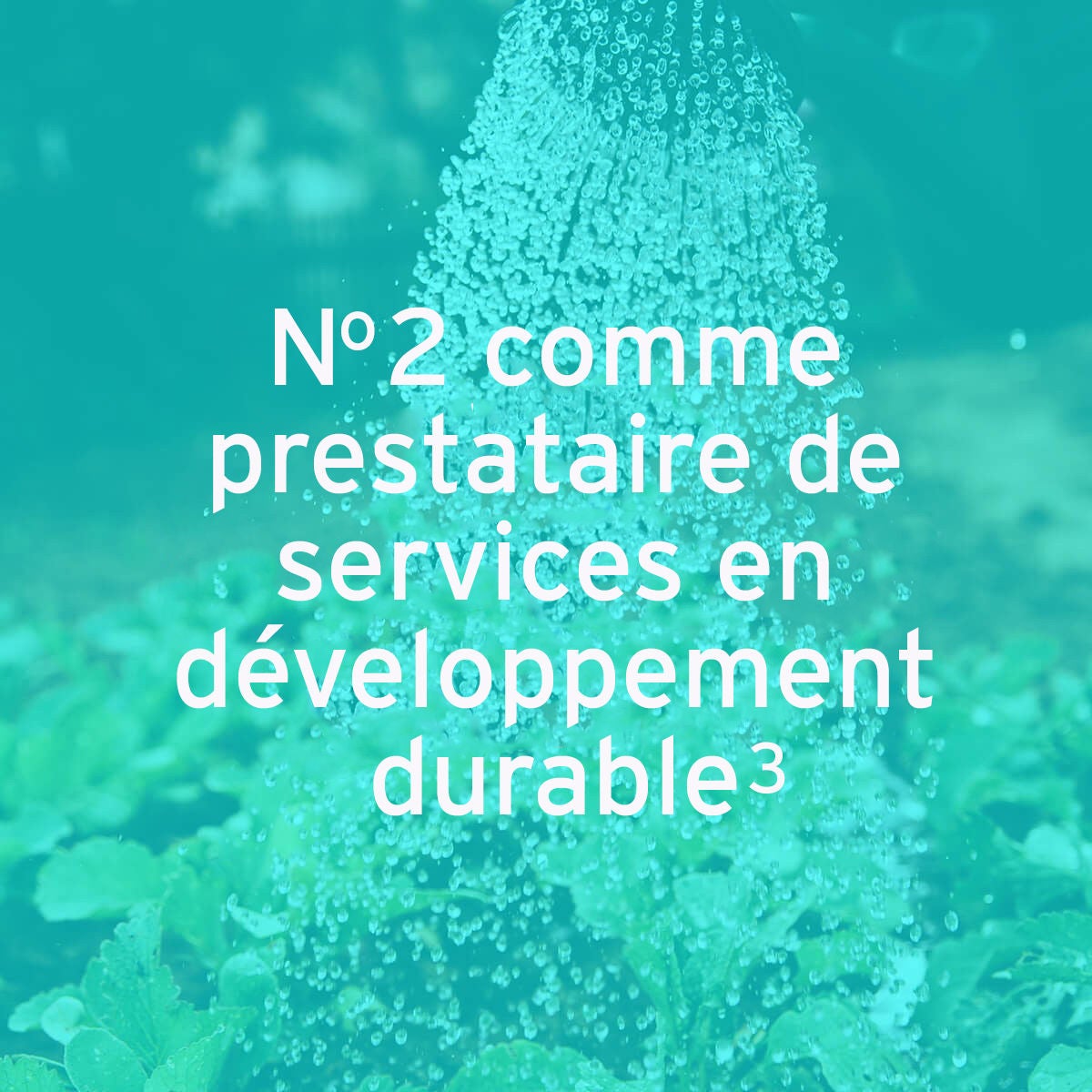 EY – No 2 comme prestataire de services en développement durable