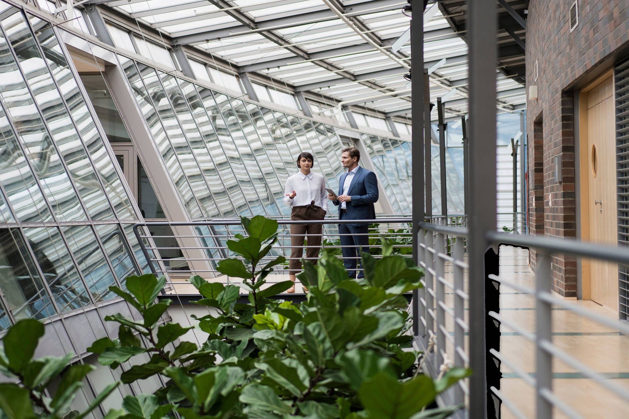 Business people talking in sustainable office building