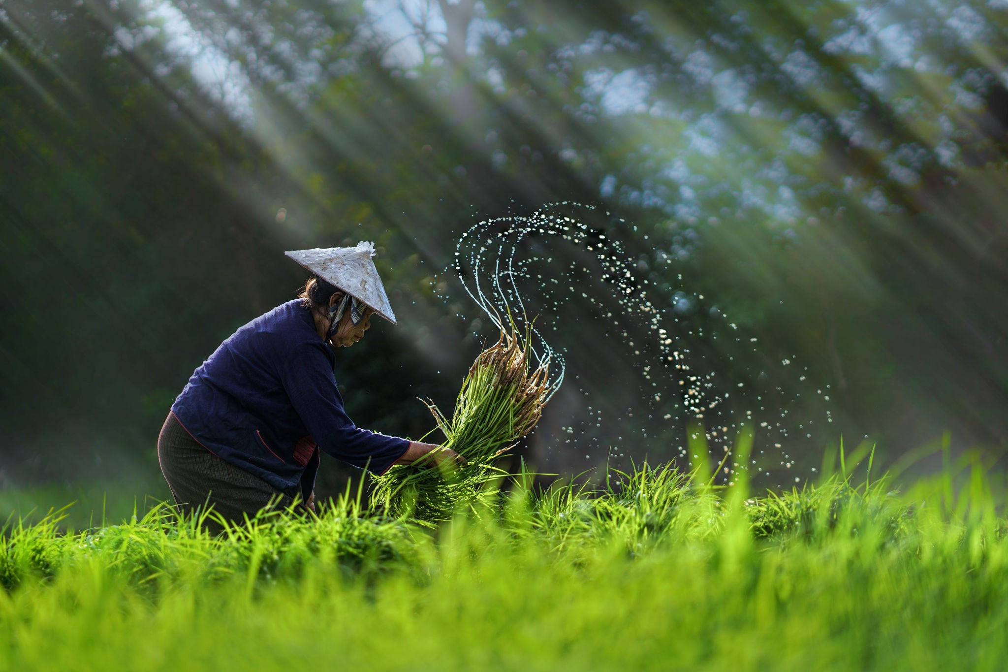 Thuế thu nhập cá nhân 'bỏ quên' lạm phát