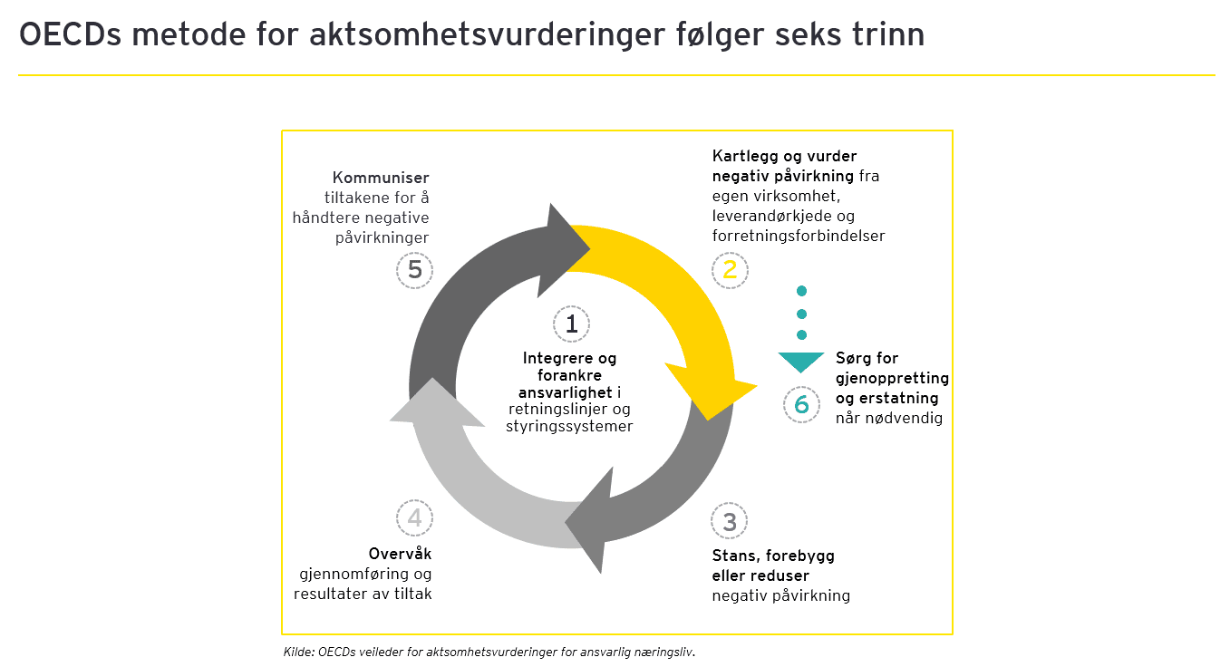 OECDs metode for aktsomhetsvurderinger folger seks trinn