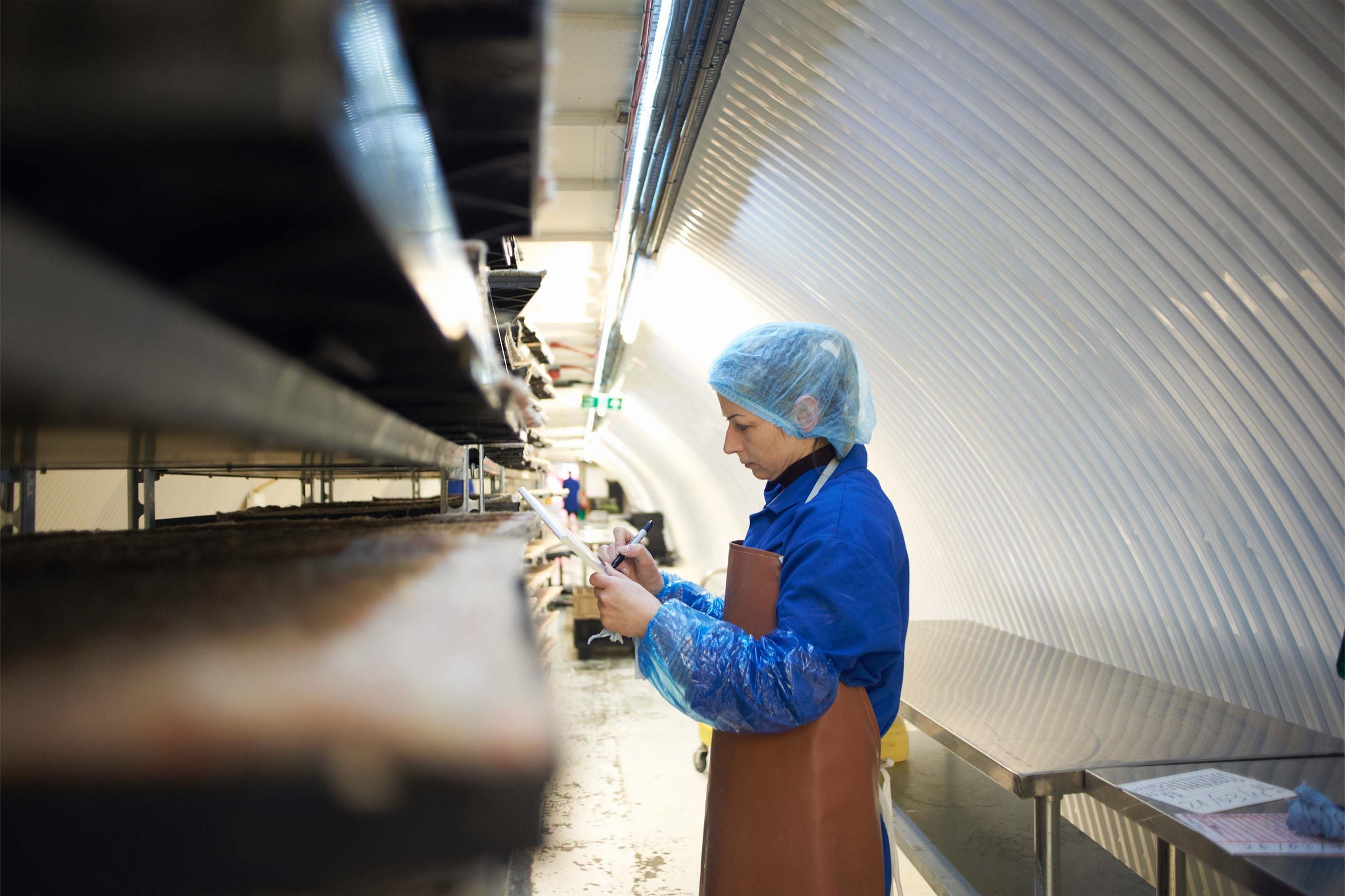 Worker in food manufacturing factory