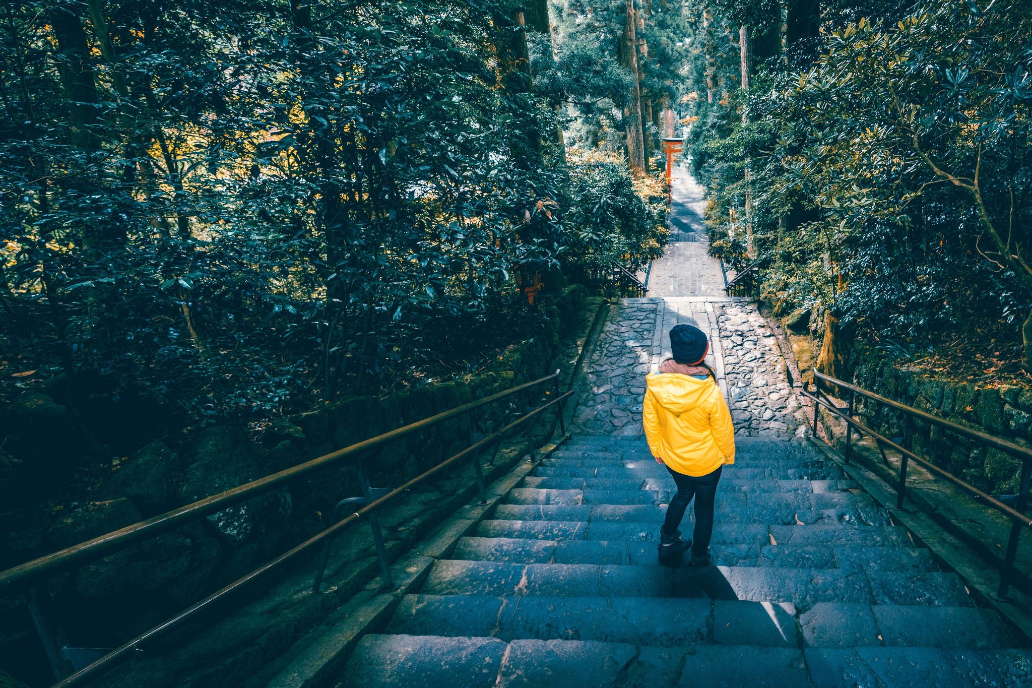 Woman with yellow coat on the pathway to the Hakone Shrine in Kanagawa prefecture, Japan.