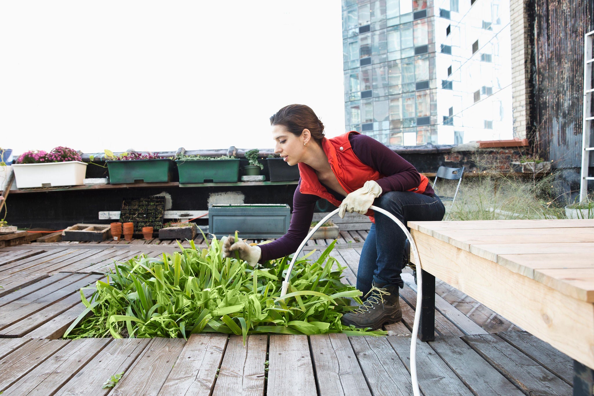 ey woman watering the home decorated plants