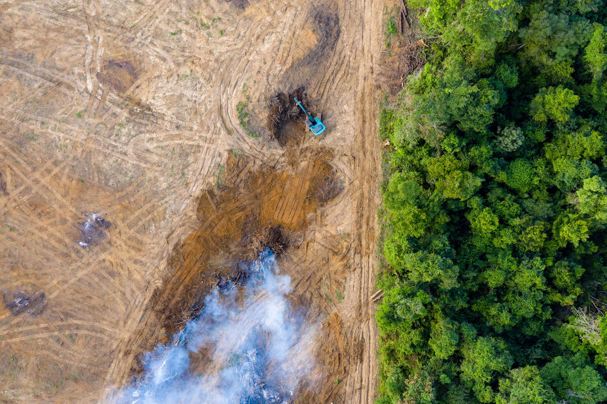 Ariel view of field