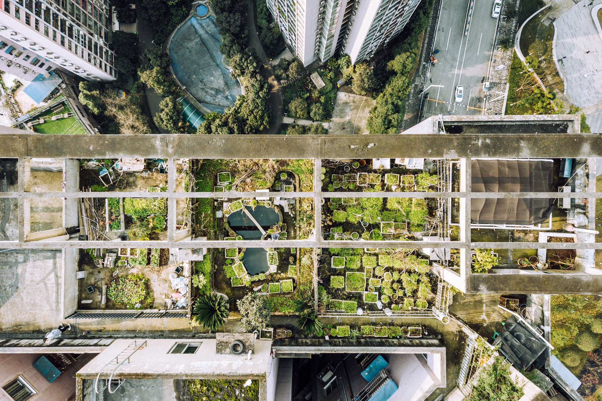 Vegetable Garden on the Rooftop