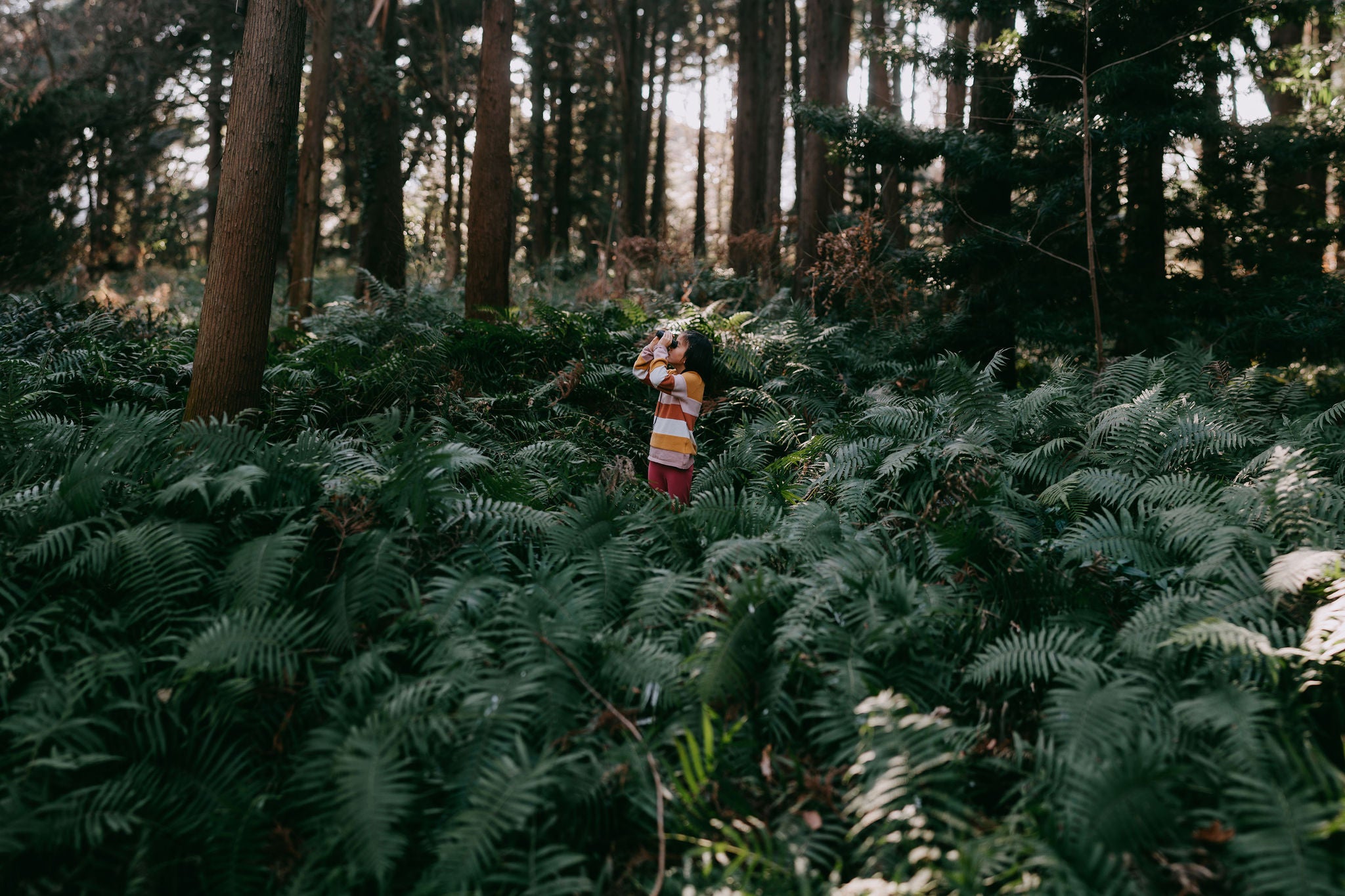 young girl looking through binoculars in forest in winter Tokyo