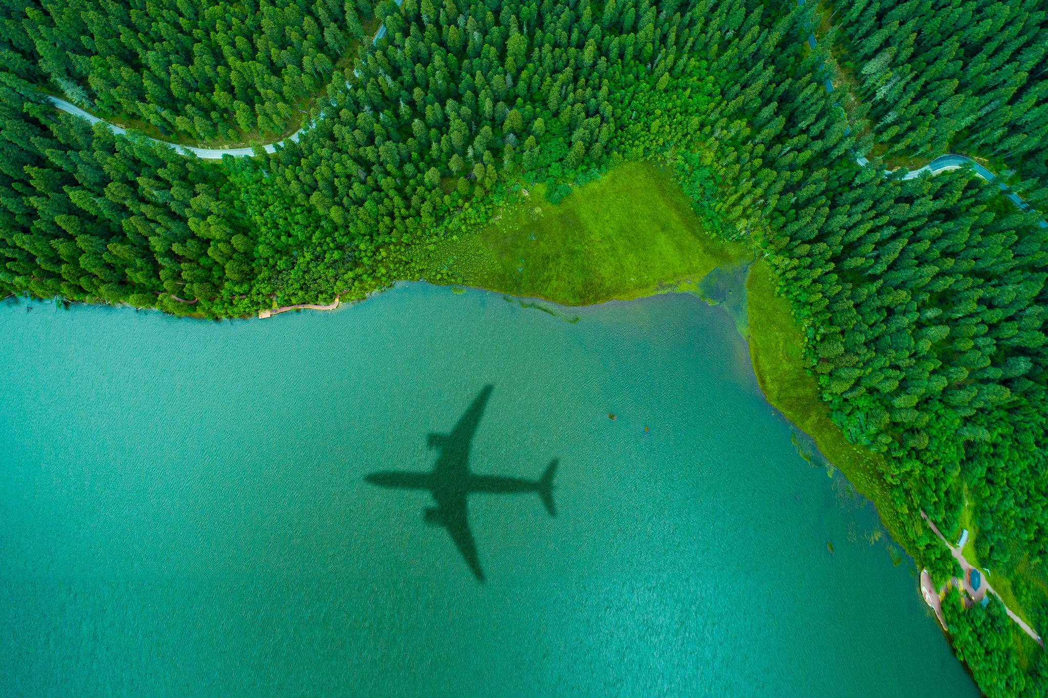 Airplane shadow over an islands forest