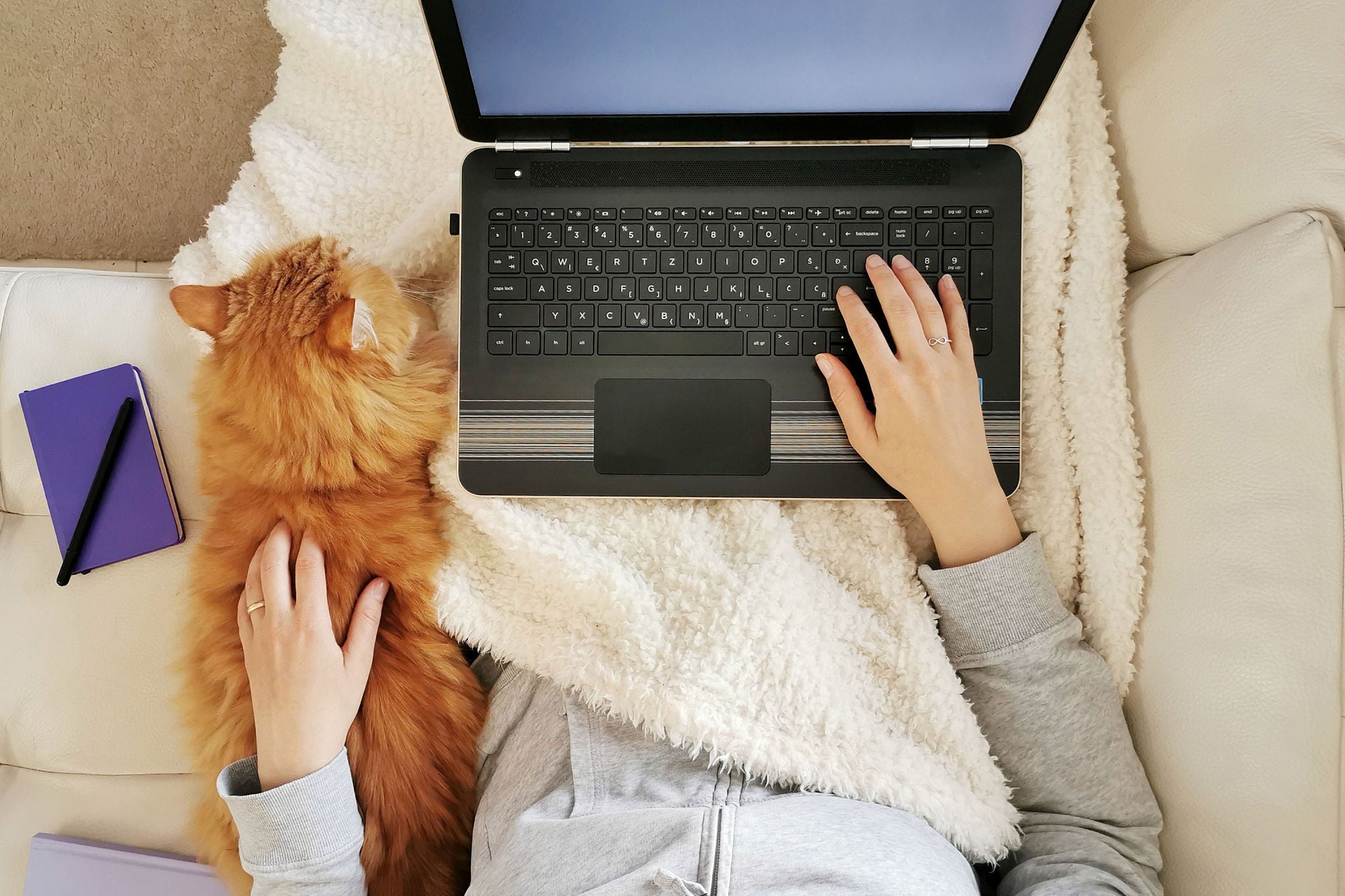 Woman working from home with her laptop on the sofa