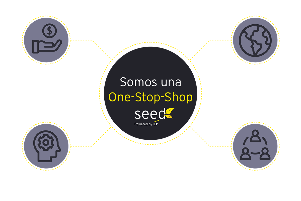 Seed one stop shop