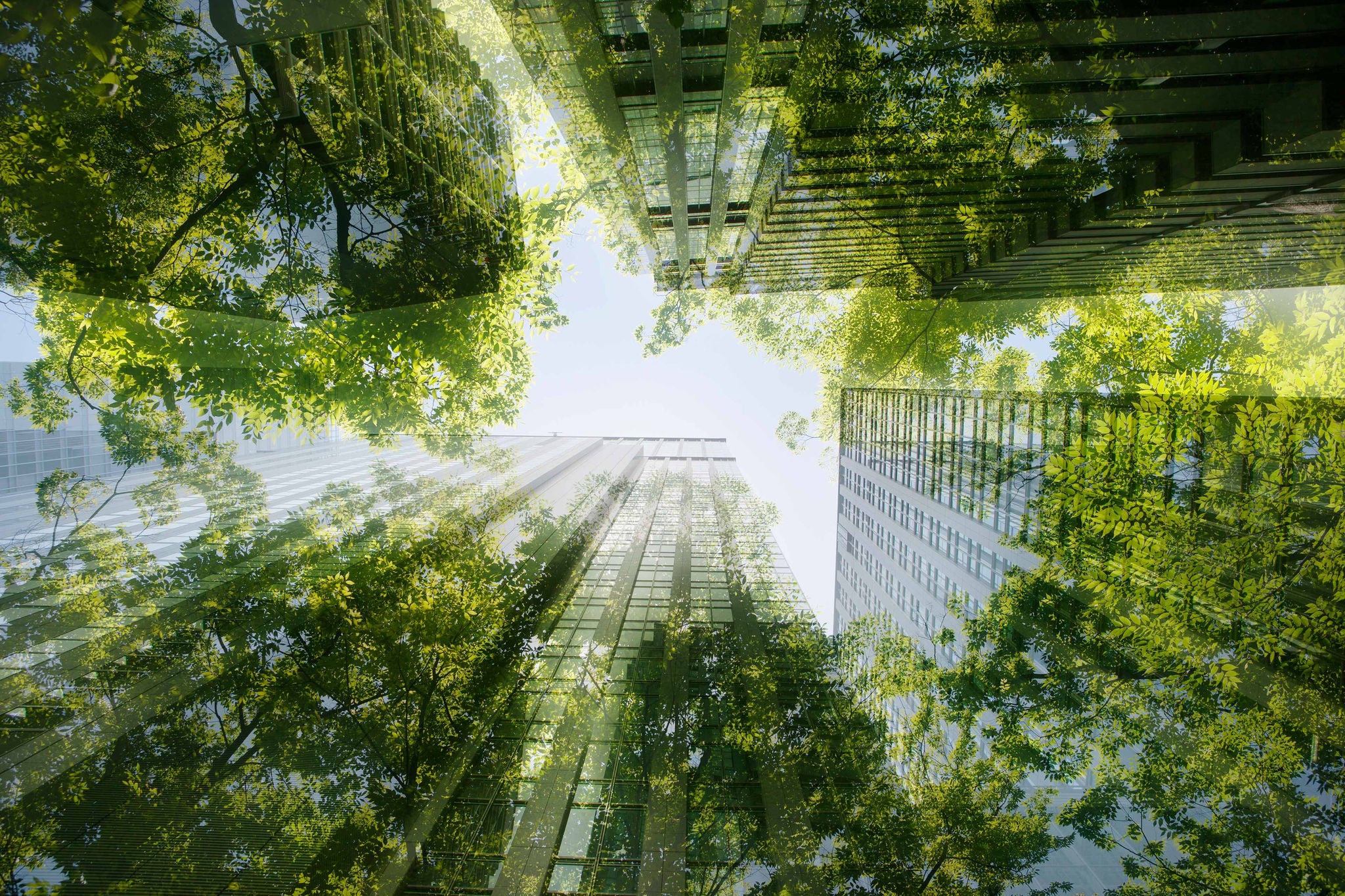 Sustainability and ESG