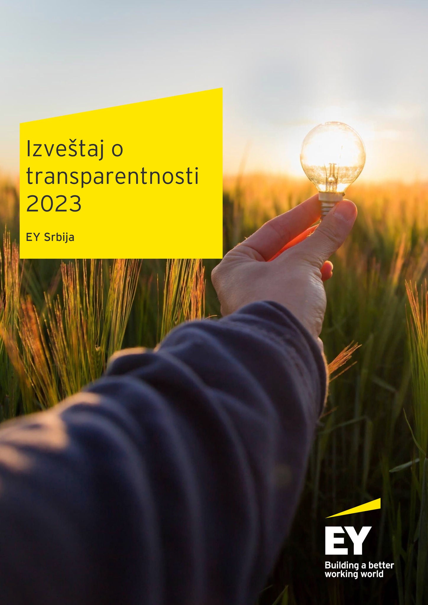 ey-izvestaj-o-transparentnosti