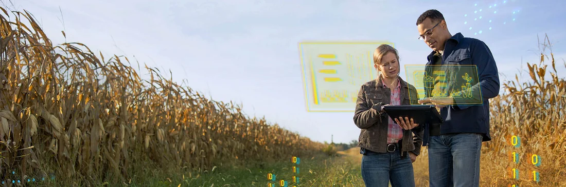 plant experts reviewing data in a cornfield