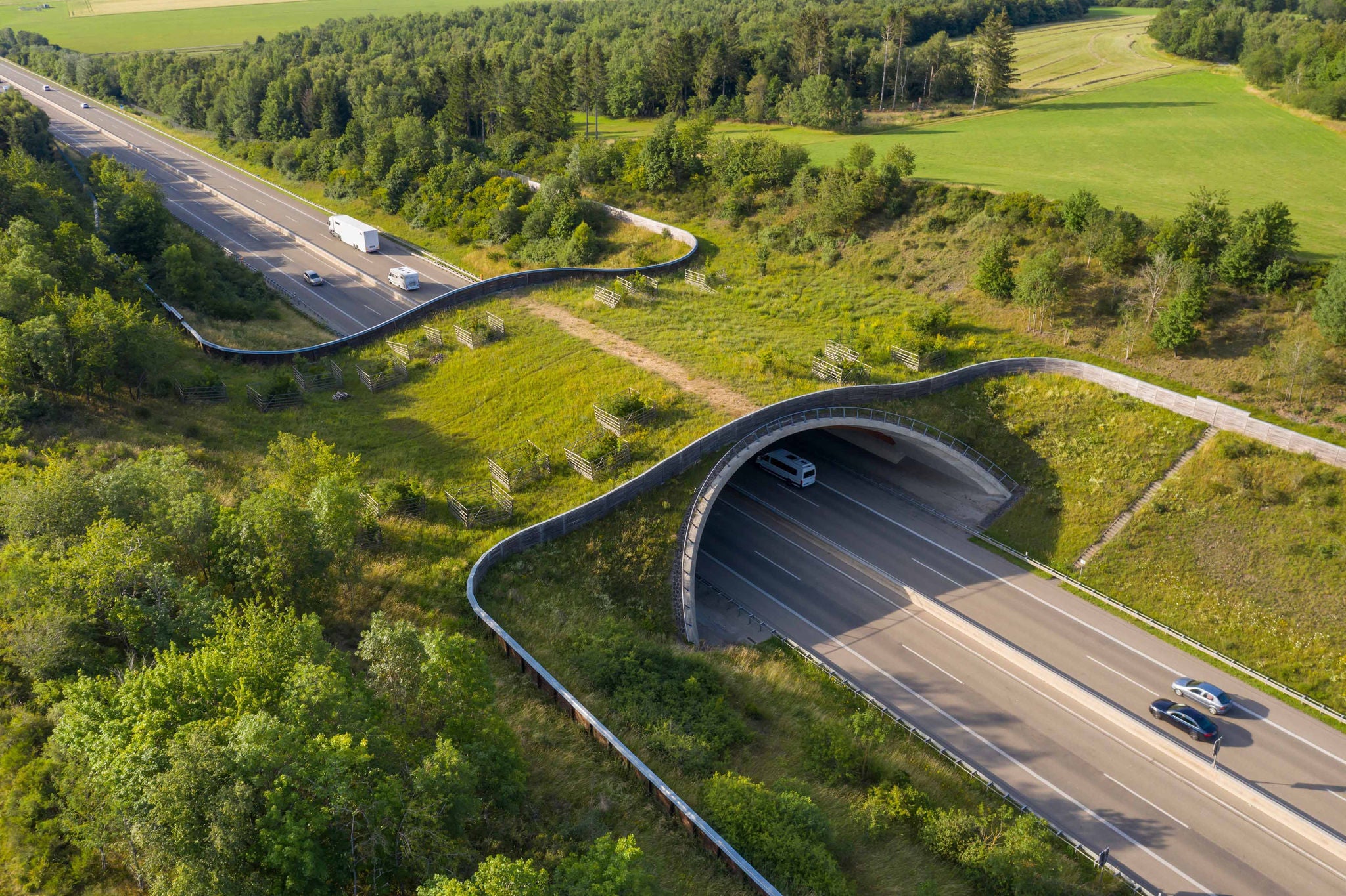 Wildlife crossing