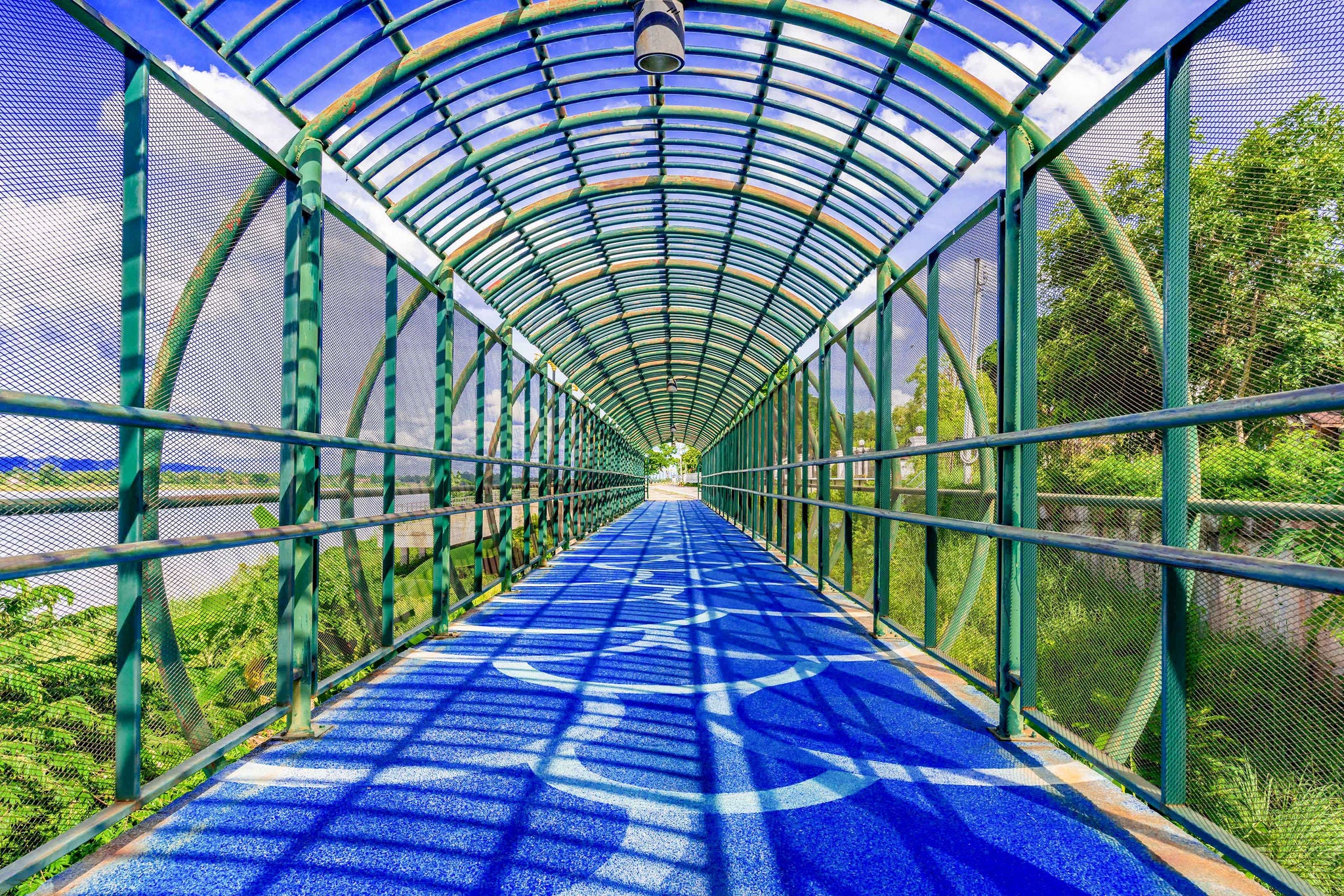 FOOTBRIDGE AMIDST TREES