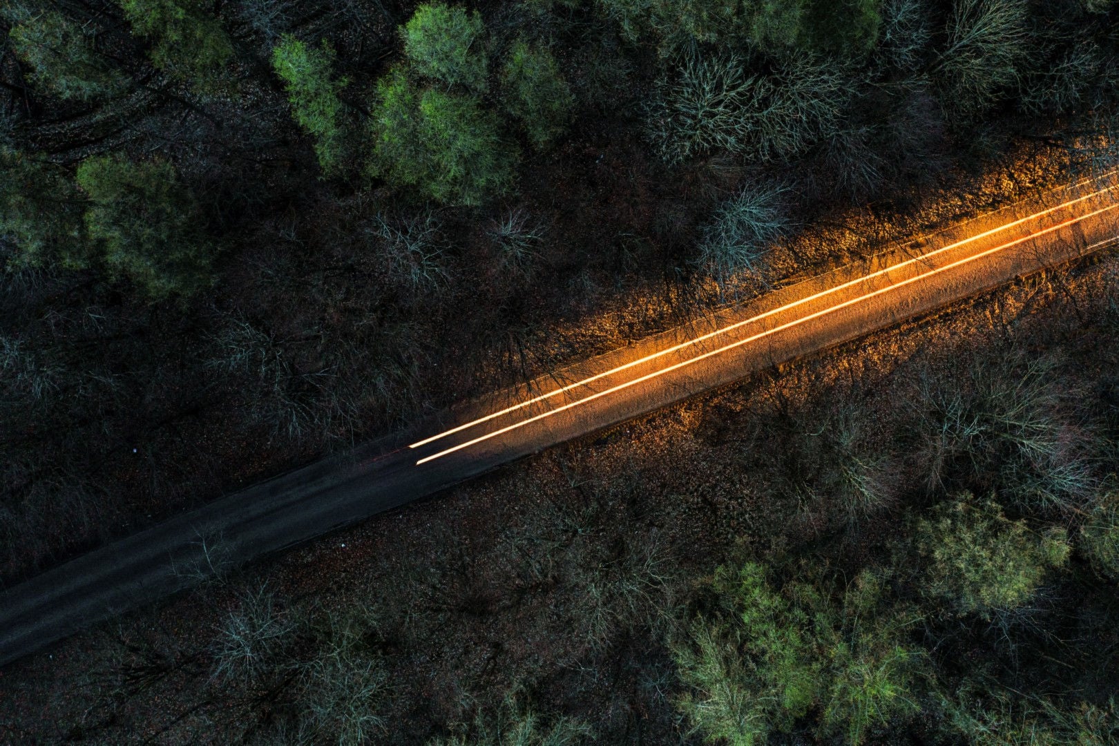 Top view of fastest vehicles on the road in the middle of trees