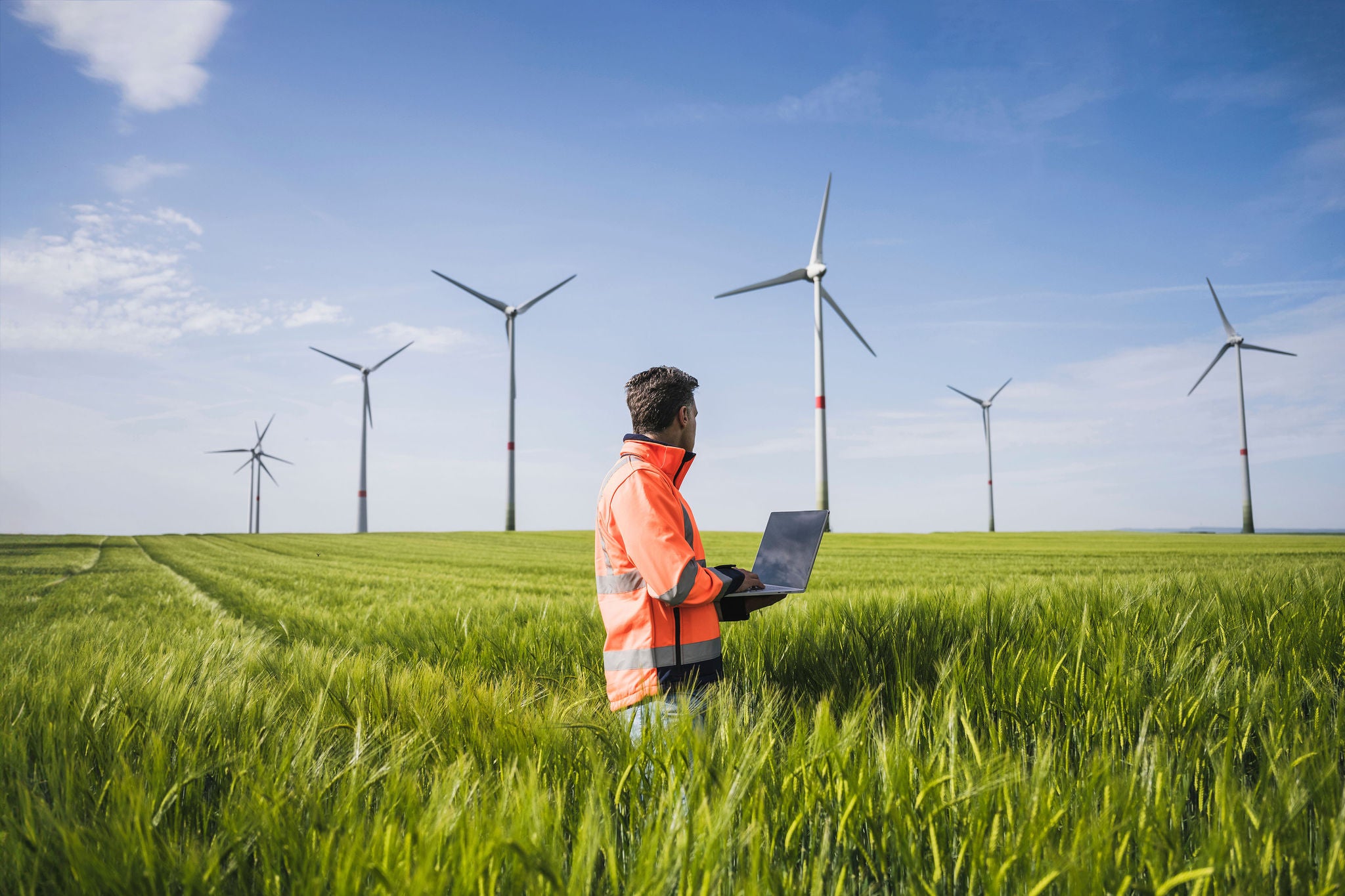 Engineer with laptop on wheat field looking at wind turbines