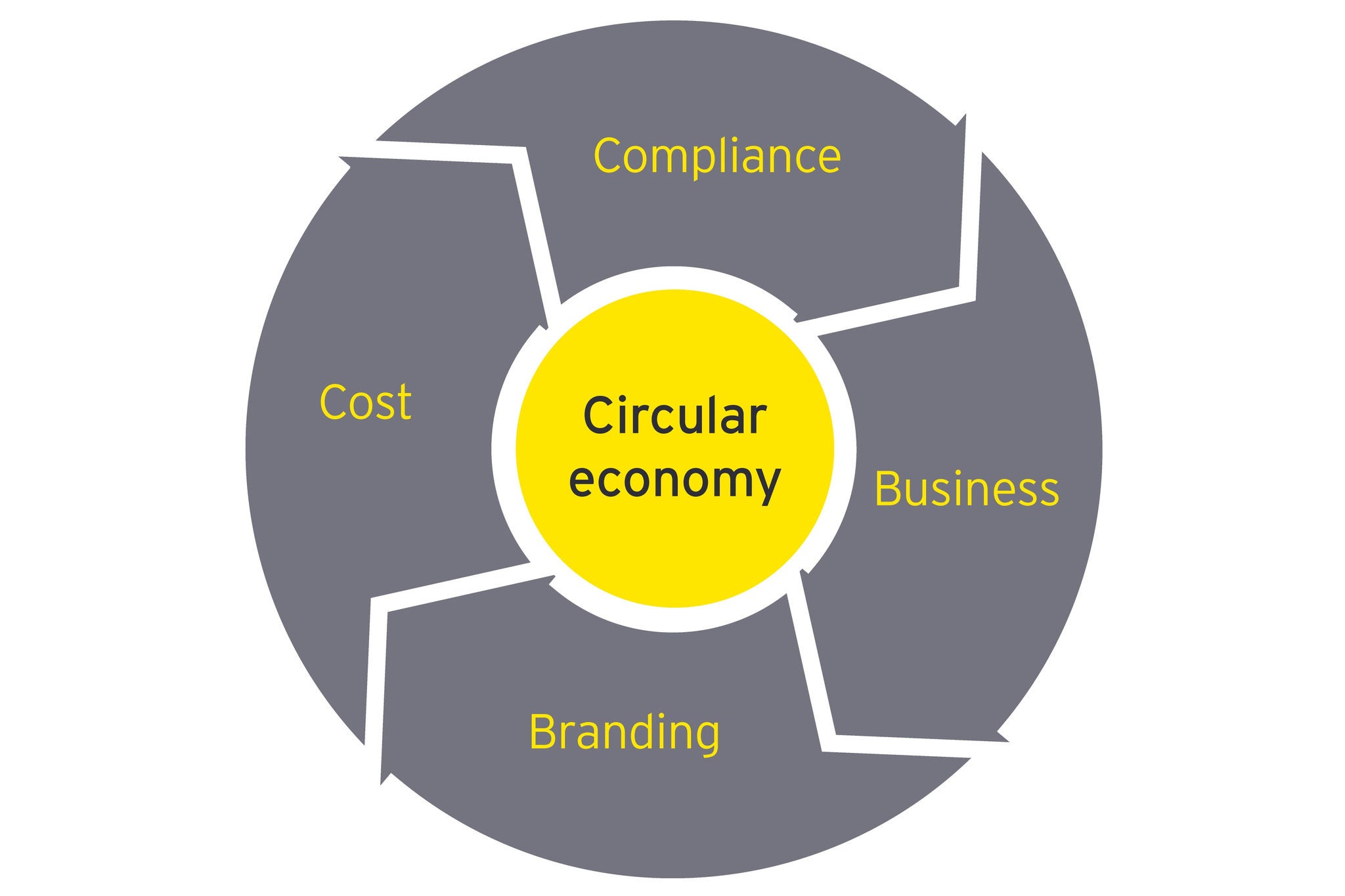 The circular economy