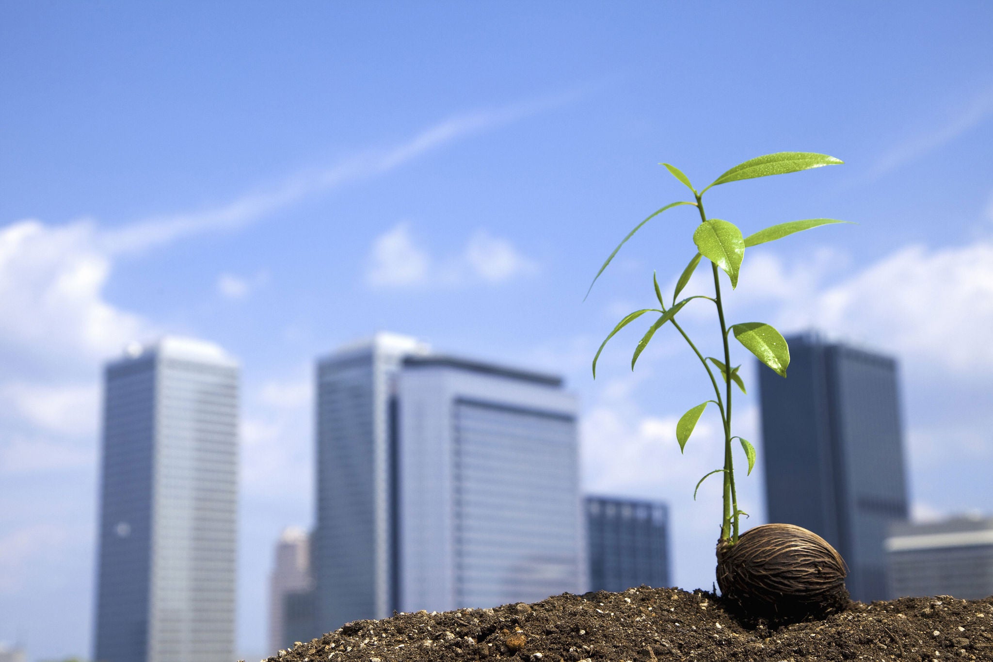 ey-building-green-grass-hero.jpg