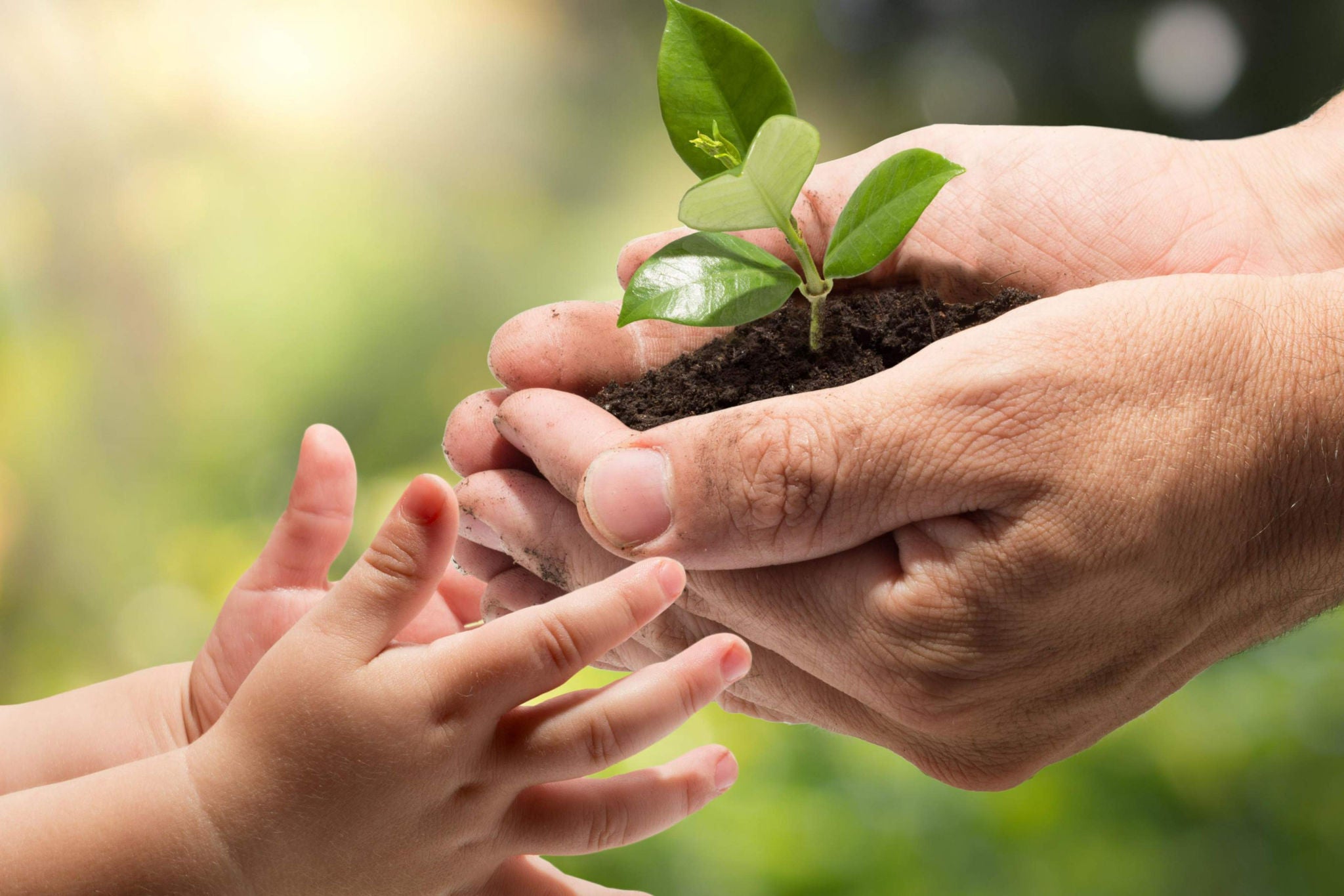 Fundacja rodzinna – ocena po pół roku