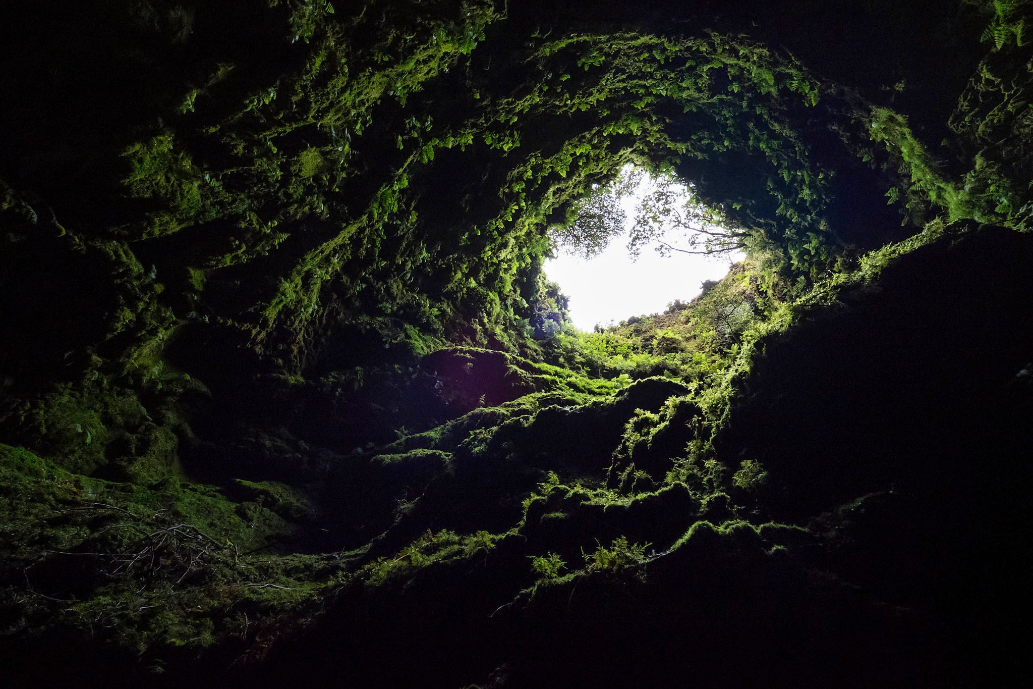 Regional Natural Monument, Algar do Carvão. This volcanic cavern was created during an eruption about 2,000 years ago, the interior is a chimney of an extinct volcano, in of the Terceira Island in the Azores Islands, Portugal. Europe.