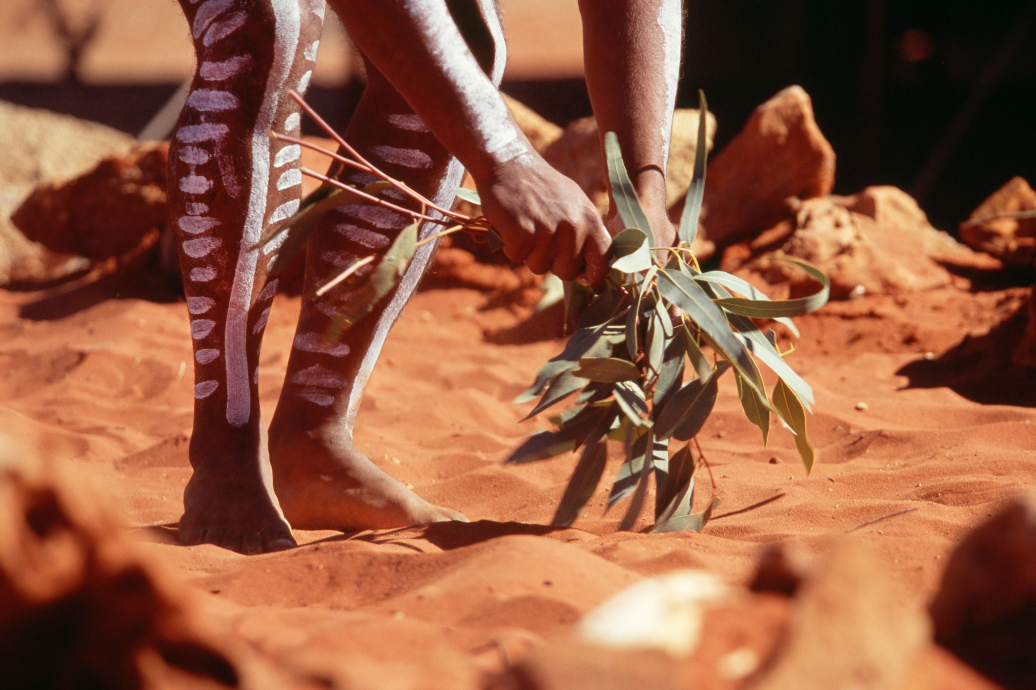 Hands holding leaves