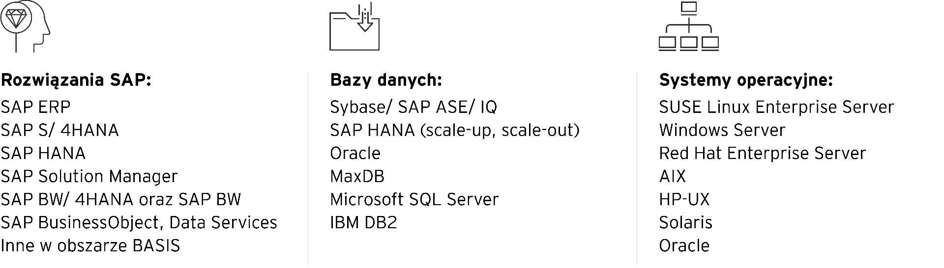 ey-uslugi-sap-technology