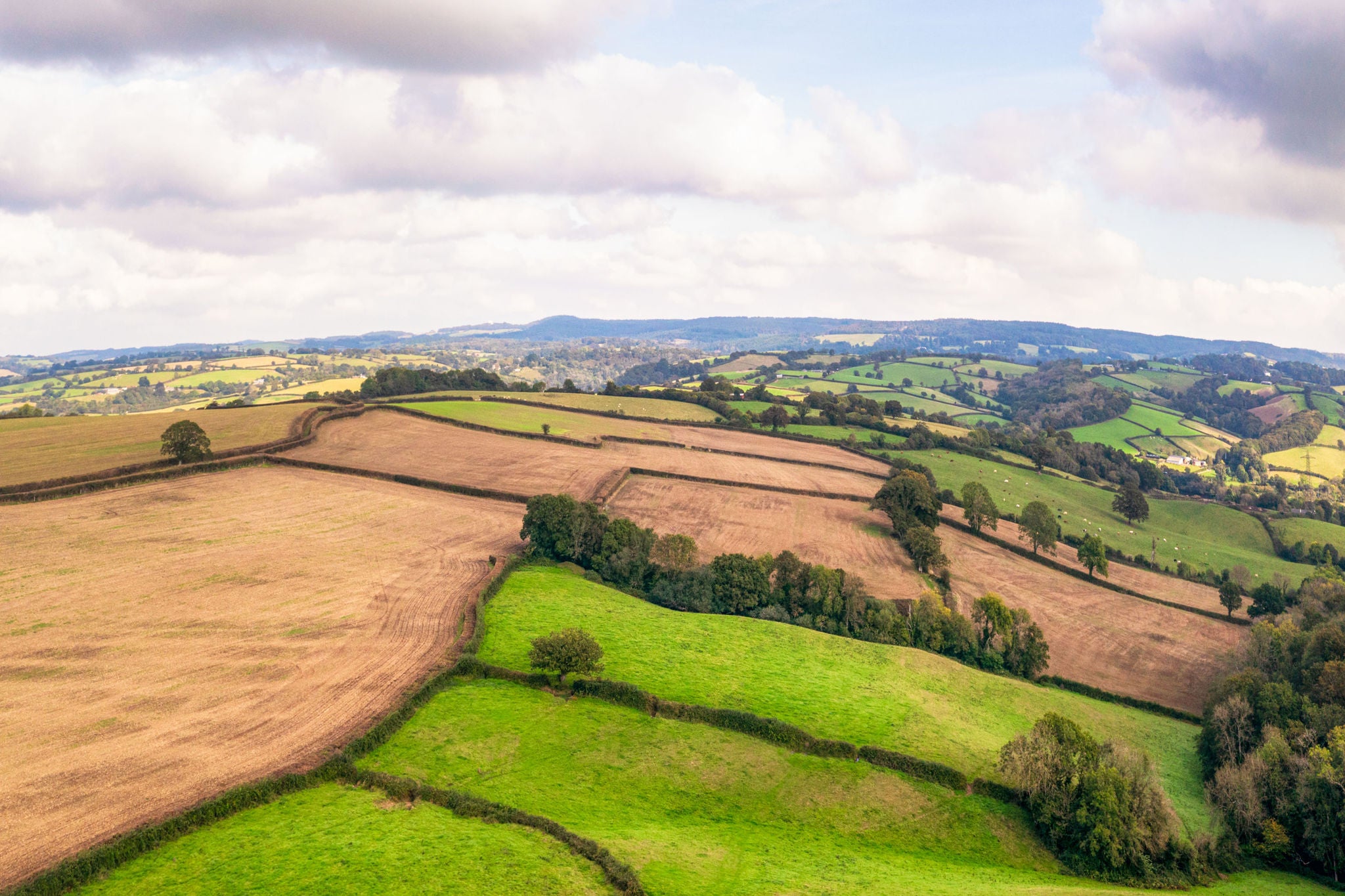 View of countryside